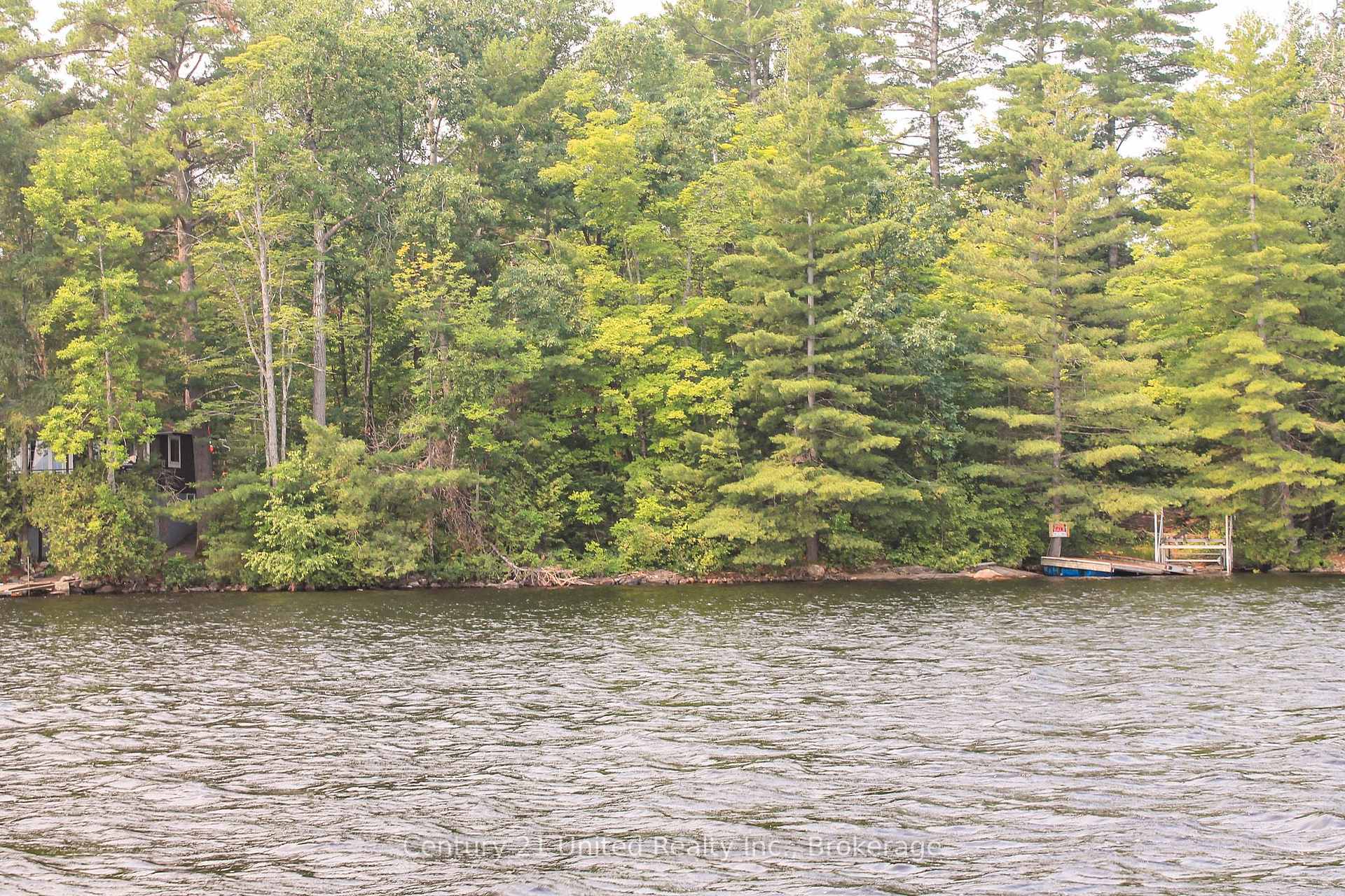 Photo 4 of 00 McKee Avenue, Trent Lakes — HOMEH