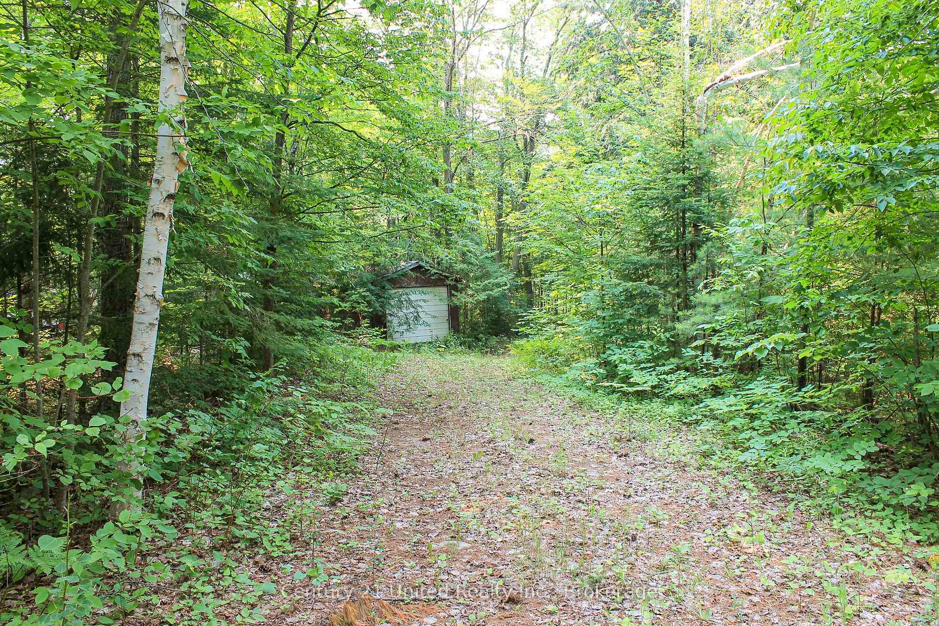 Photo 5 of 00 McKee Avenue, Trent Lakes — HOMEH