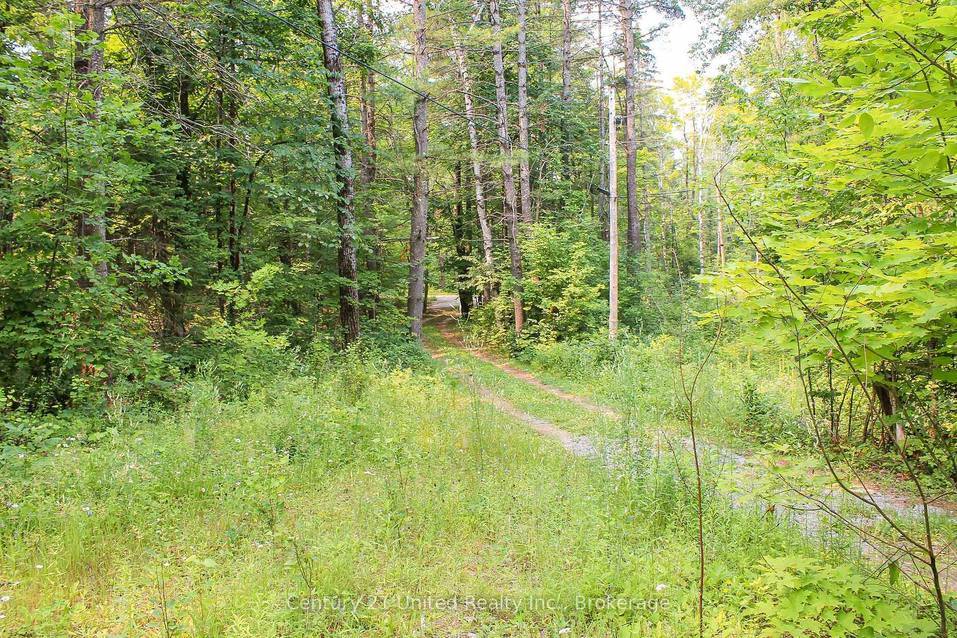 Photo 6 of 00 McKee Avenue, Trent Lakes — HOMEH