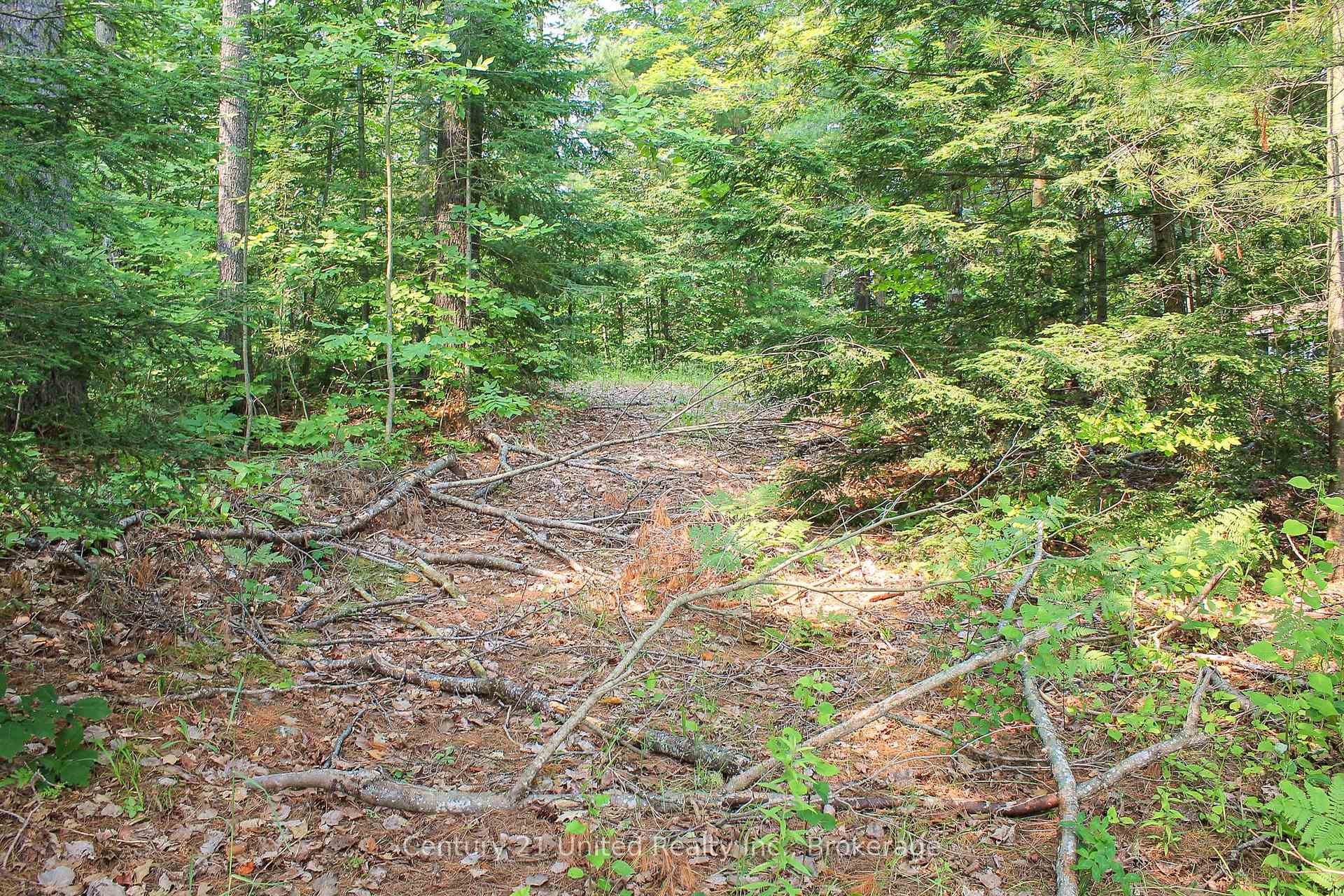 Photo 7 of 00 McKee Avenue, Trent Lakes — HOMEH