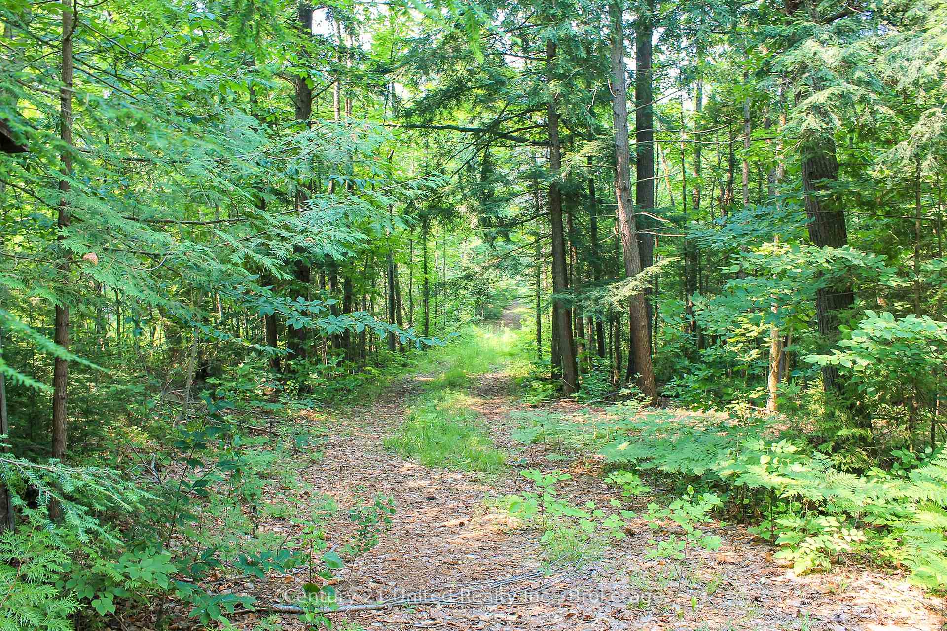 Photo 12 of 00 McKee Avenue, Trent Lakes — HOMEH