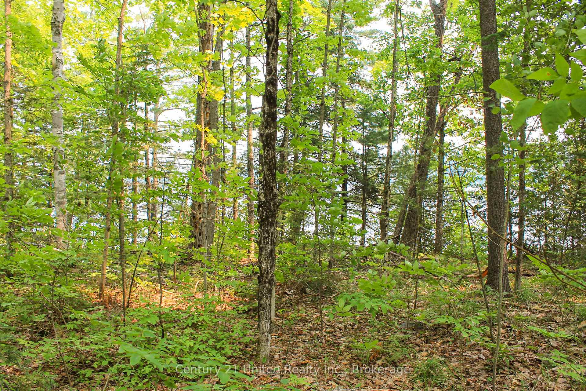 Photo 13 of 00 McKee Avenue, Trent Lakes — HOMEH