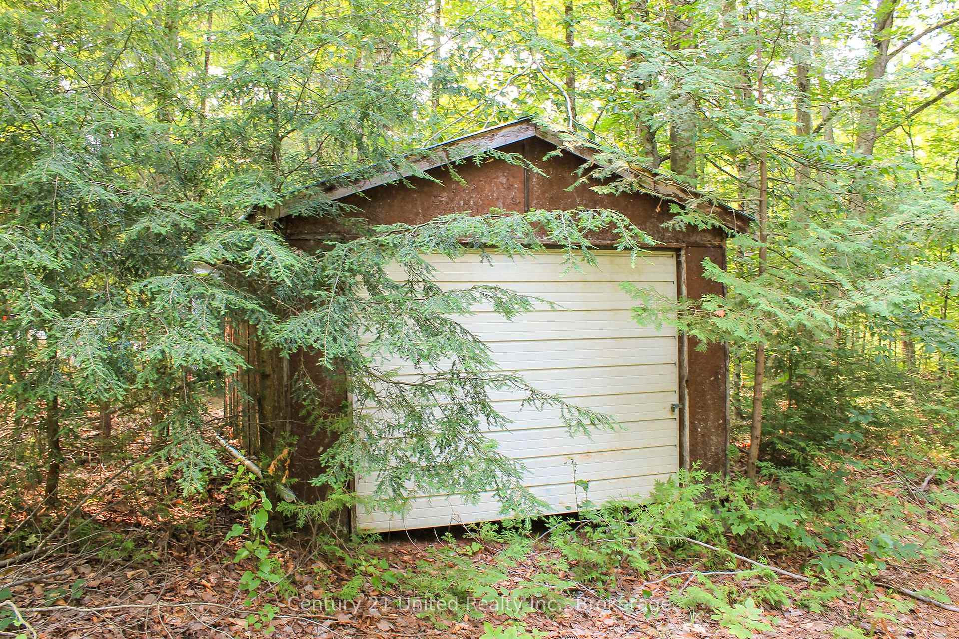 Photo 14 of 00 McKee Avenue, Trent Lakes — HOMEH