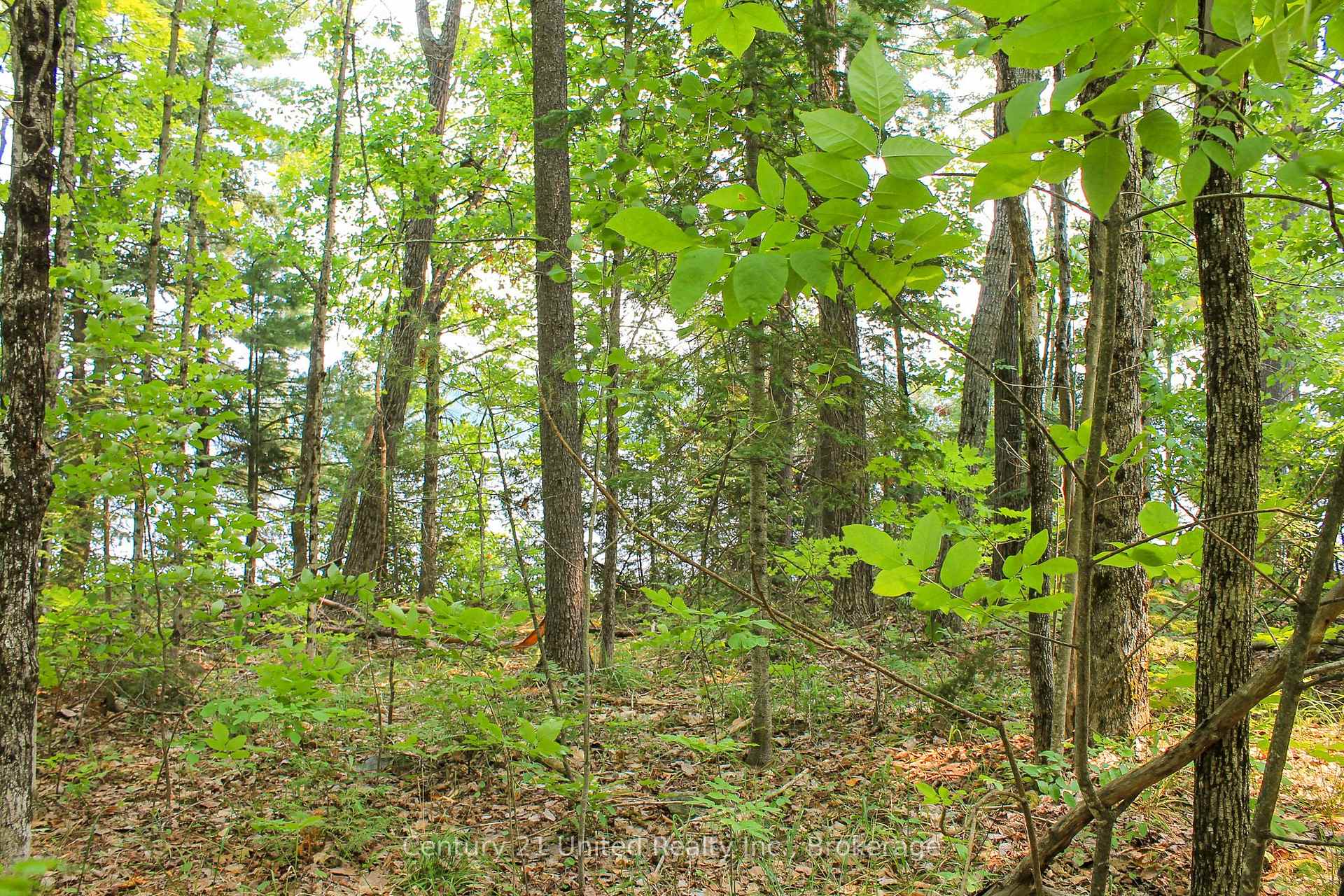 Photo 15 of 00 McKee Avenue, Trent Lakes — HOMEH