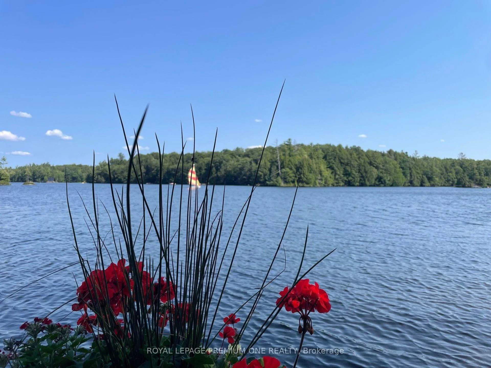 Photo 48 of 219 Crane Lake Water, The Archipelago, Archipelago — HOMEH