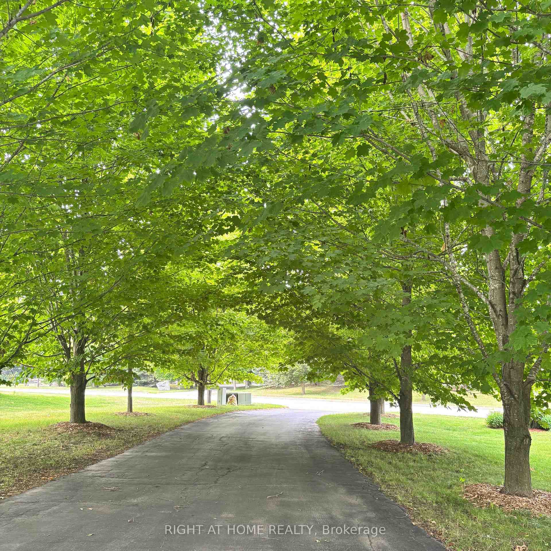 Photo 7 of 11 Trainor Court, King, Rural King — HOMEH