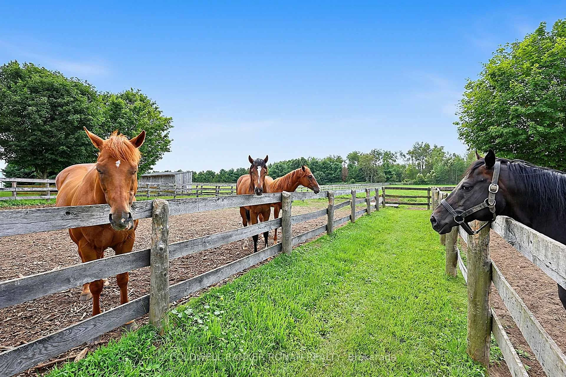 Photo 15 of 20855 Shaws Creek Road, Caledon, Rural Caledon — HOMEH