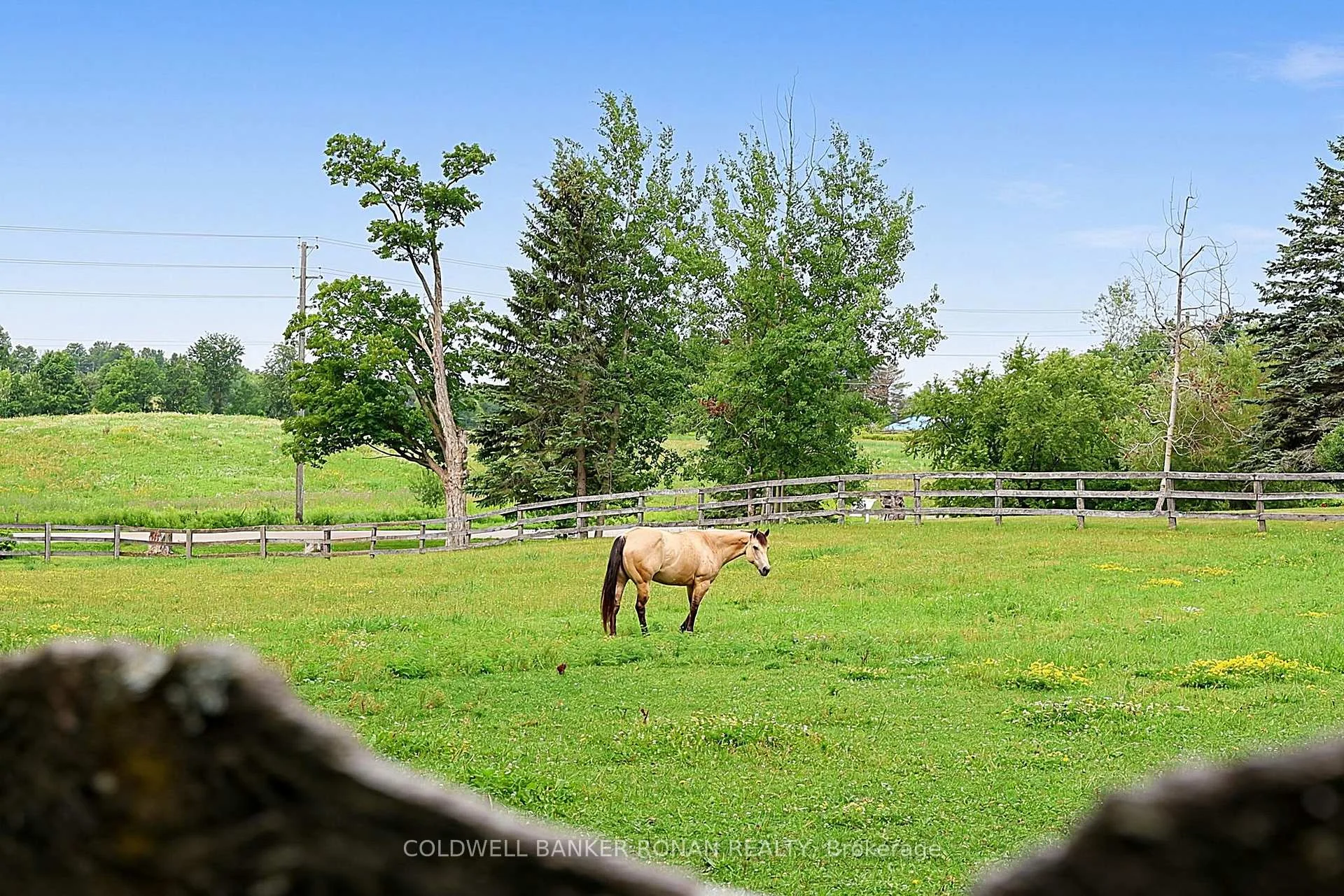 Photo 45 of 20855 Shaws Creek Road, Caledon, Rural Caledon — HOMEH