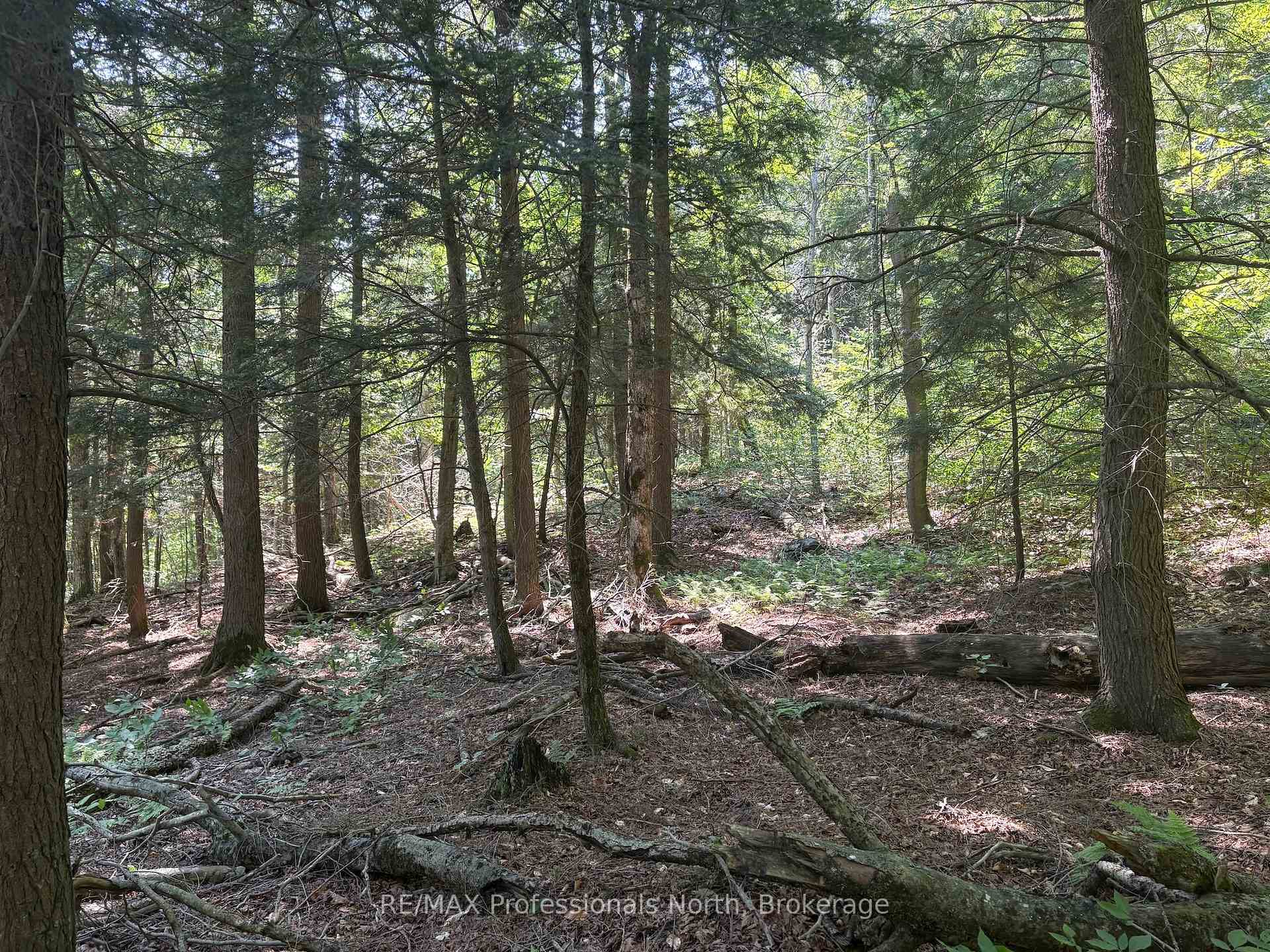 Photo 15 of PL6 Kennaway Road, Dysart et al, Dudley — HOMEH