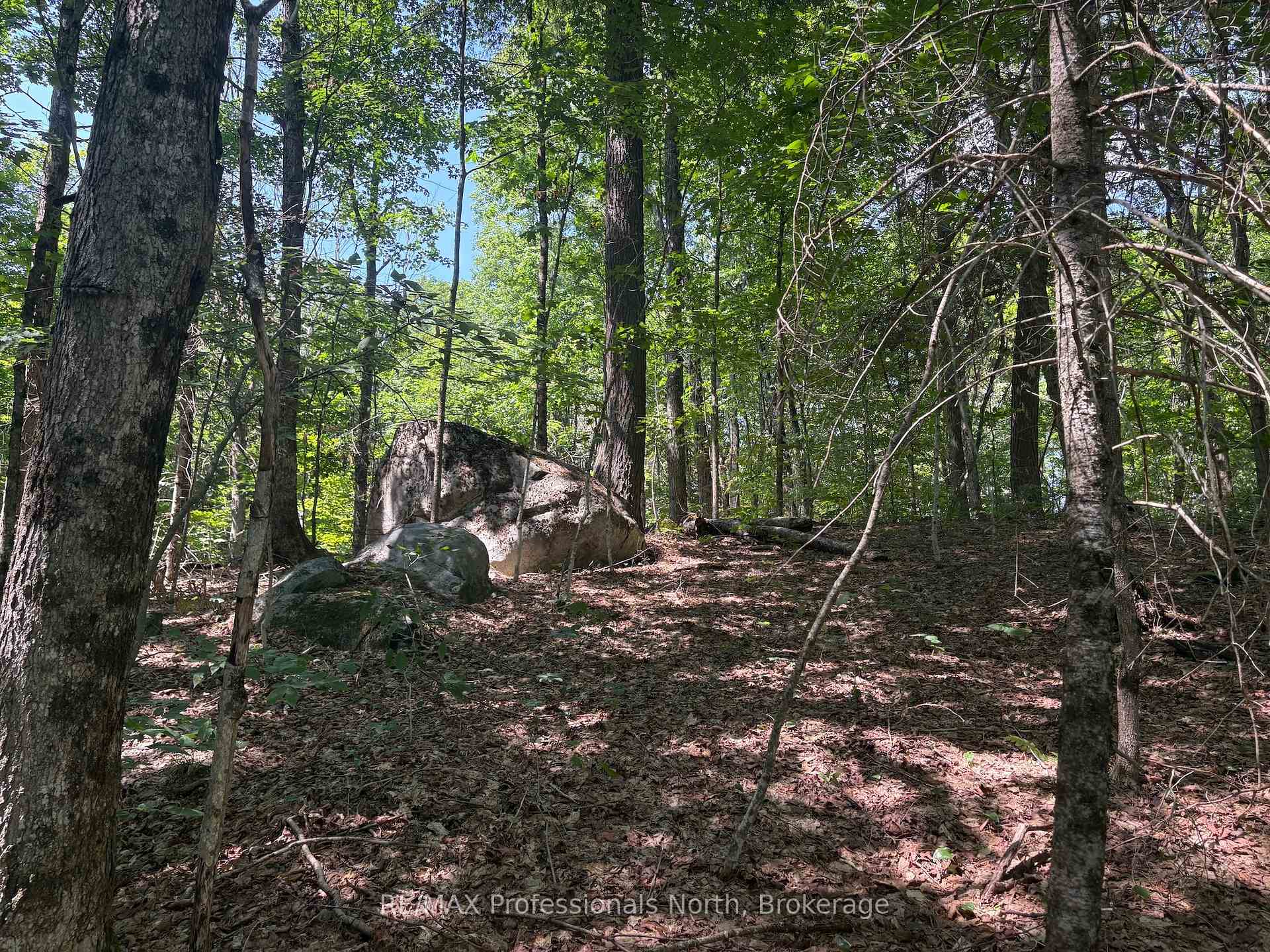 Photo 18 of PL6 Kennaway Road, Dysart et al, Dudley — HOMEH