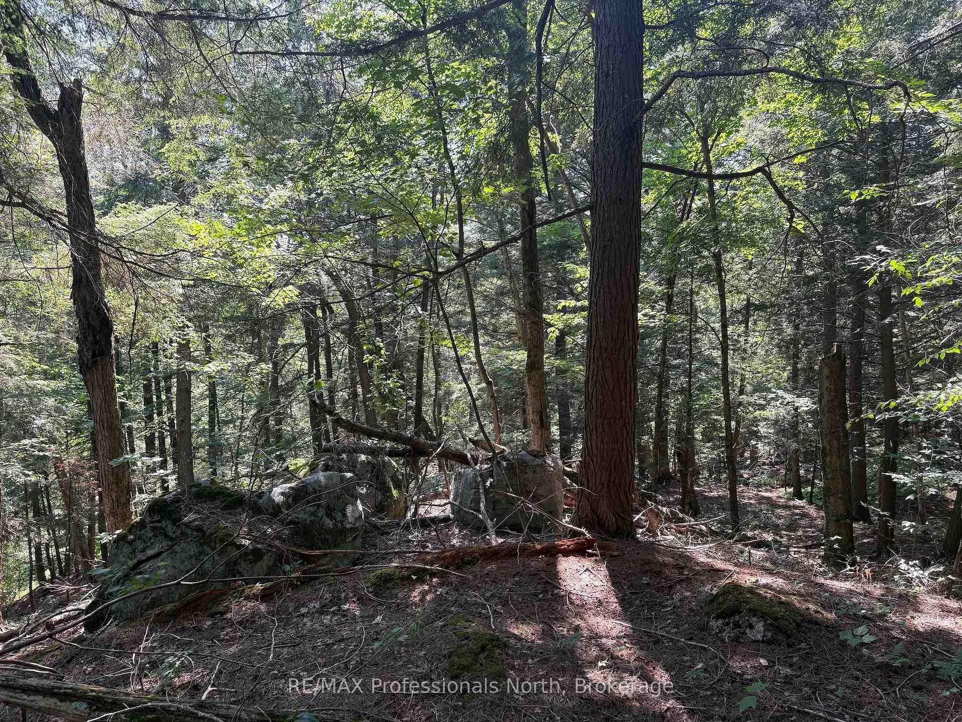 Photo 25 of PL6 Kennaway Road, Dysart et al, Dudley — HOMEH