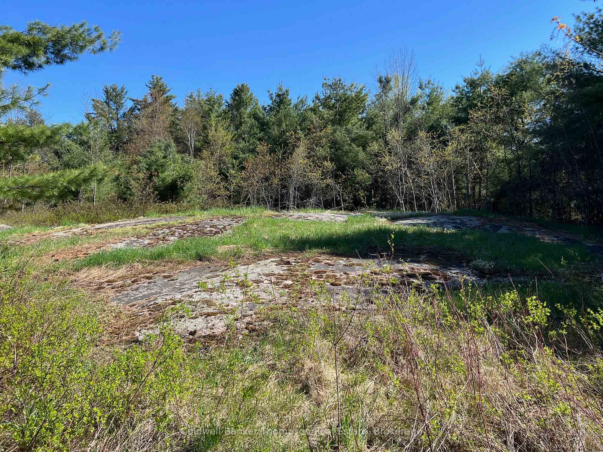 Photo 3 of 1513 Fairgrounds Road, Ramara, Rural Ramara — HOMEH