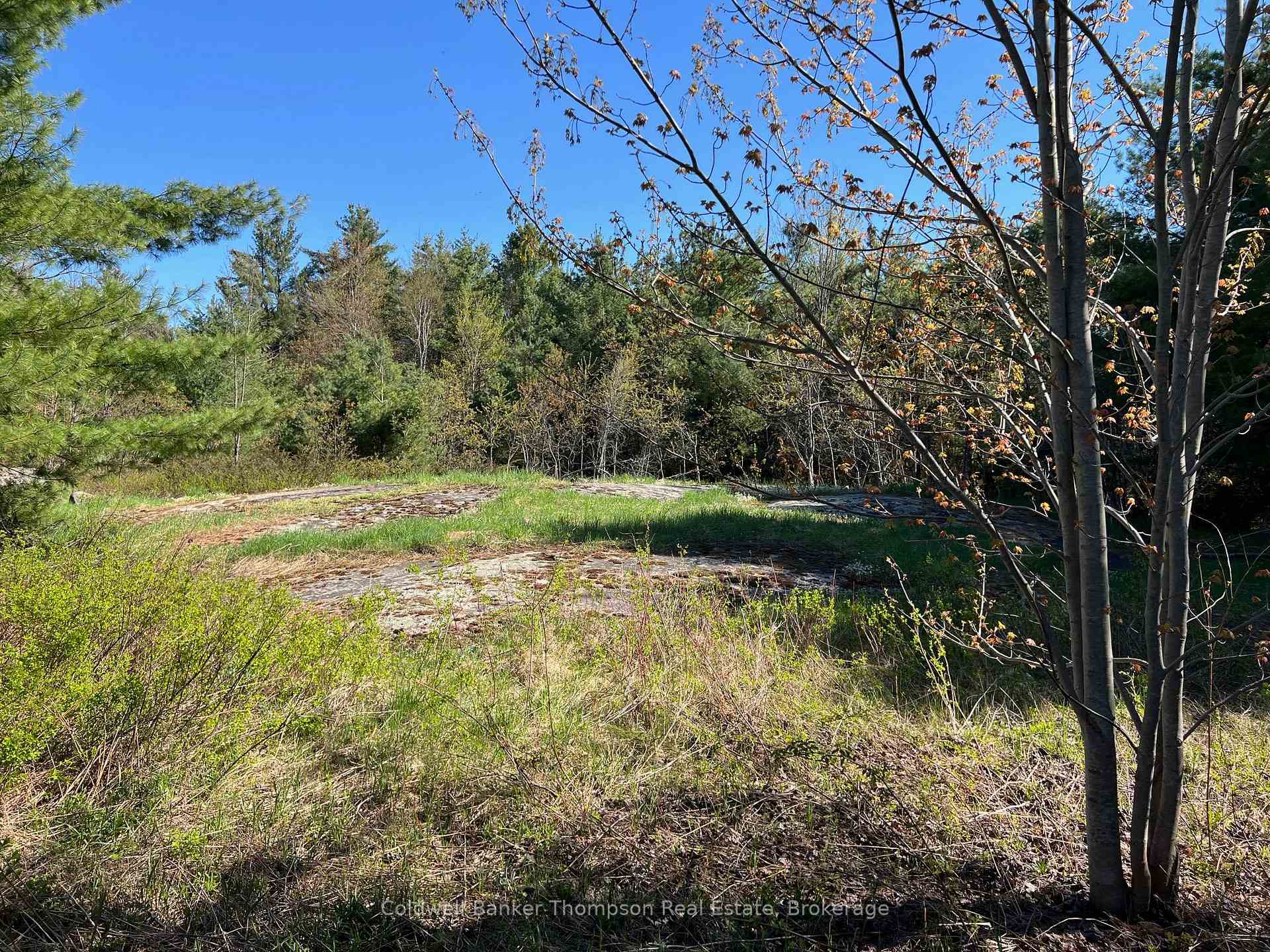 Photo 4 of 1513 Fairgrounds Road, Ramara, Rural Ramara — HOMEH