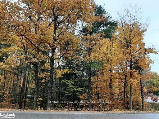 Photo 2 of Lot 354 Desroches Trail NW, Tiny, Rural Tiny — HOMEH