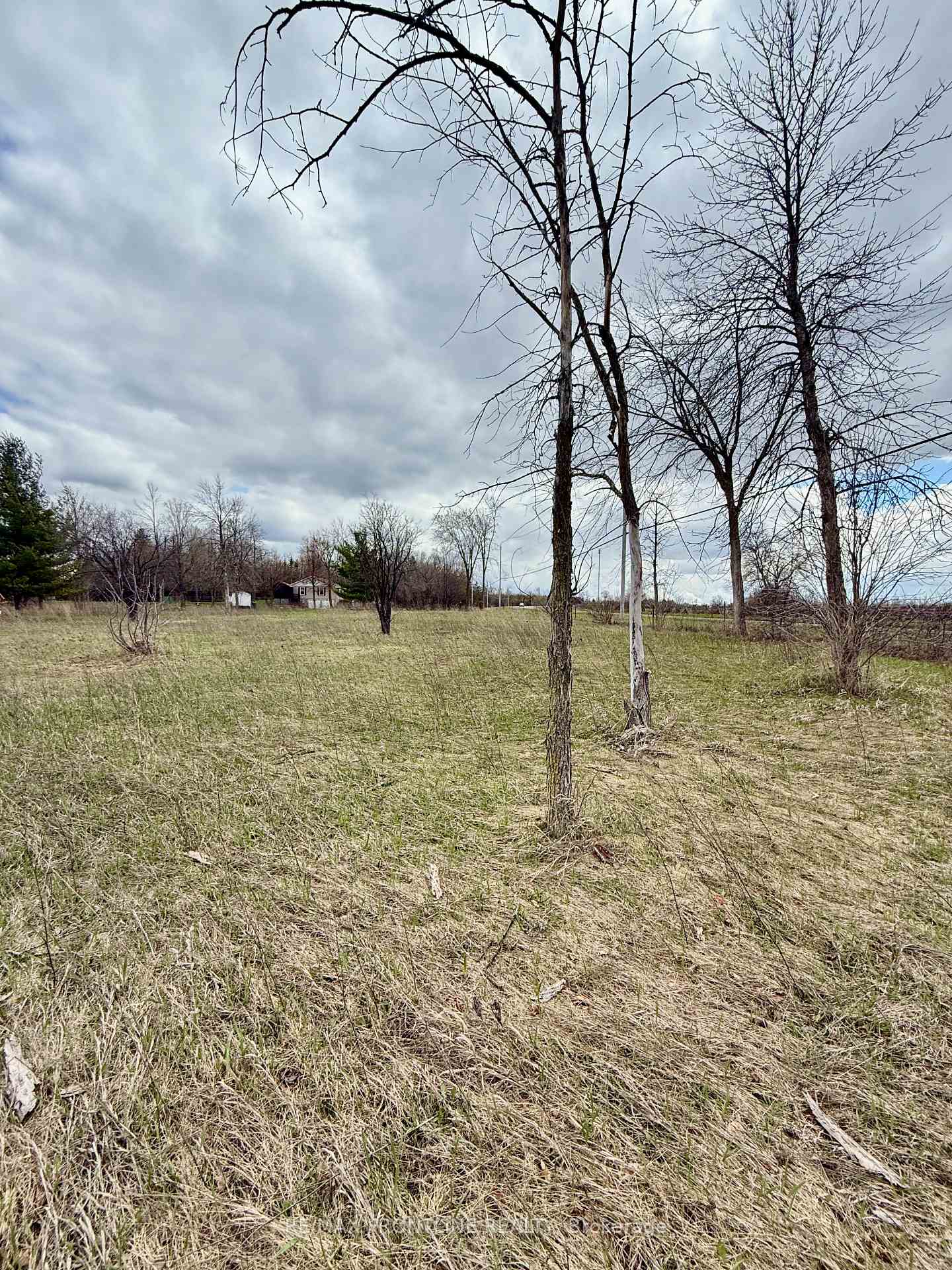 Photo 6 of 8 Morningside Drive, Rideau Lakes, Rideau Lakes (South Elmsley) Twp — HOMEH