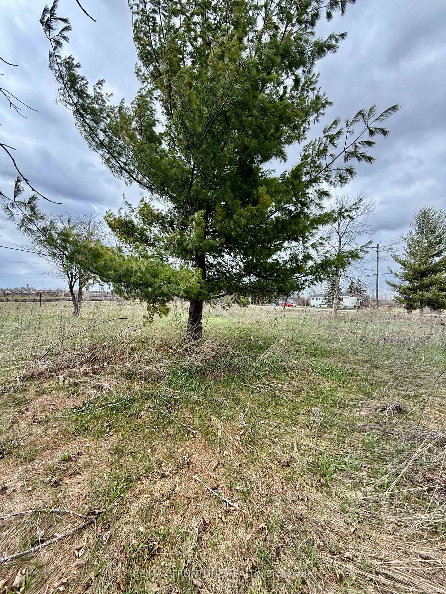 Photo 8 of 8 Morningside Drive, Rideau Lakes, Rideau Lakes (South Elmsley) Twp — HOMEH