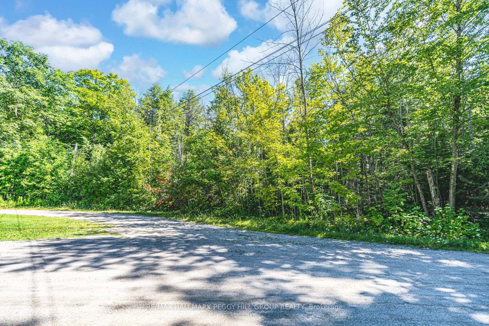 Photo 4 of 38 Lasalle Trail, Tiny, Rural Tiny — HOMEH
