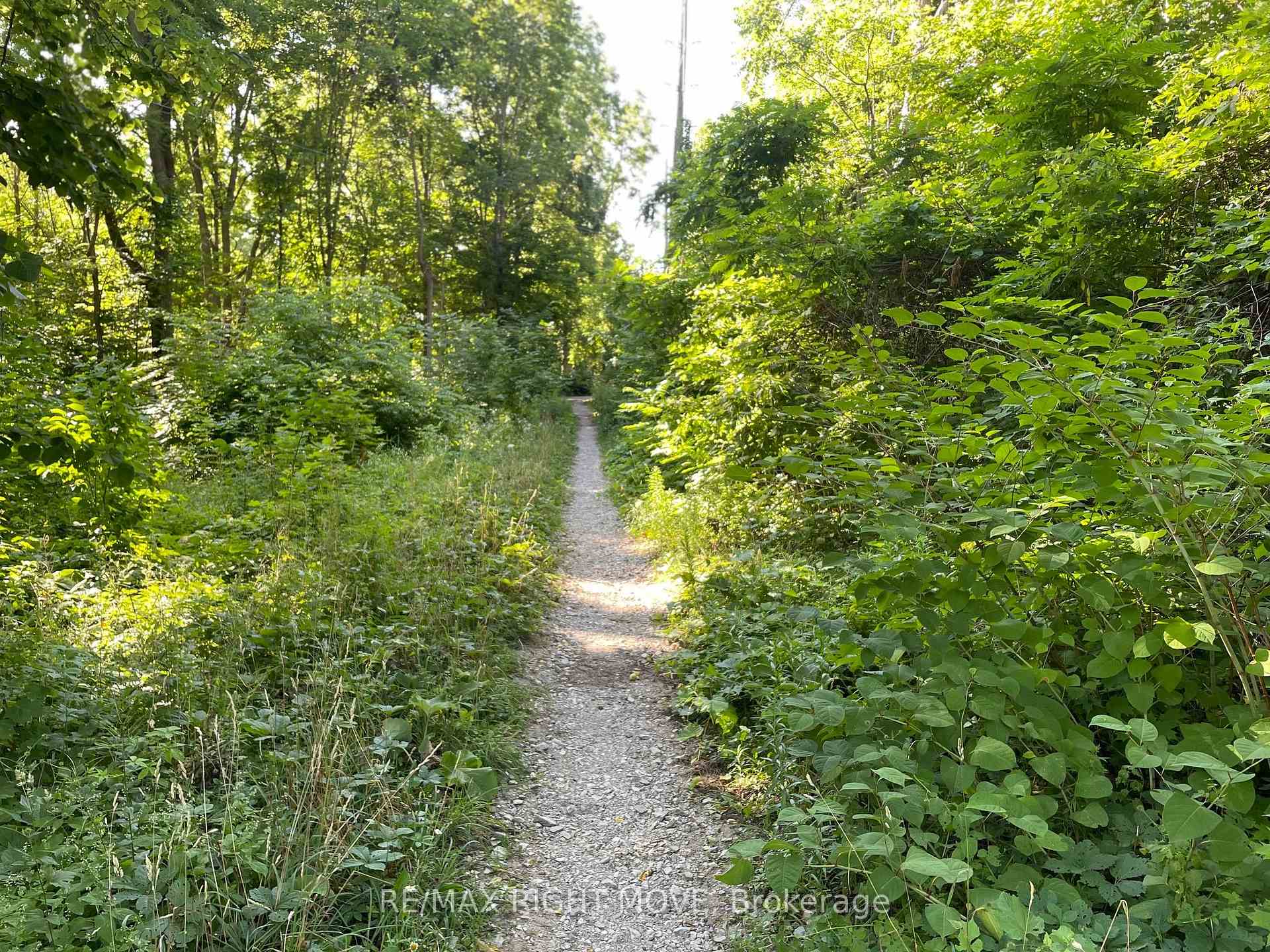 Photo 6 of 1 Cowan Street, Orillia — HOMEH