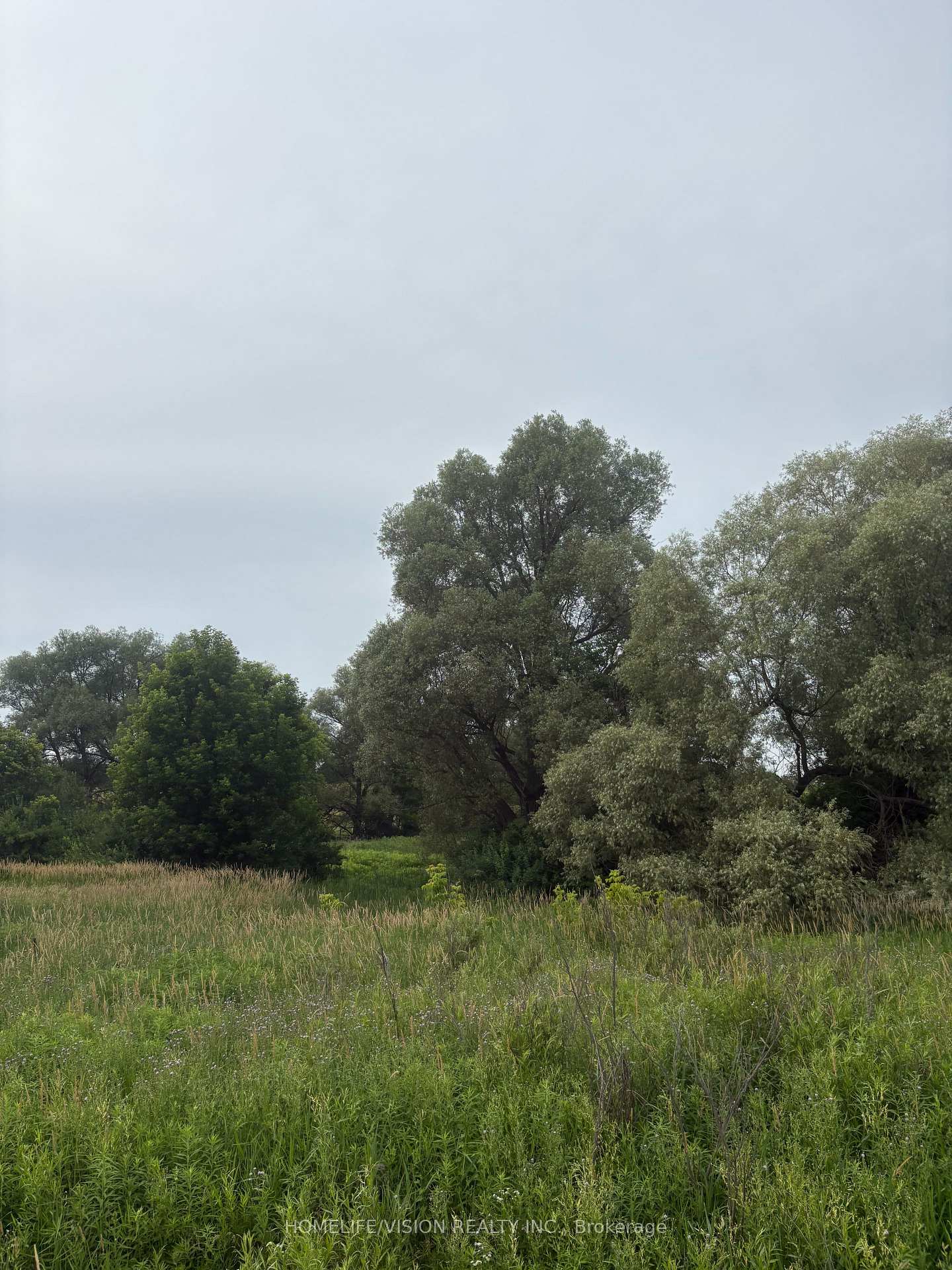 Photo 6 of Highway 89, Innisfil, Cookstown — HOMEH