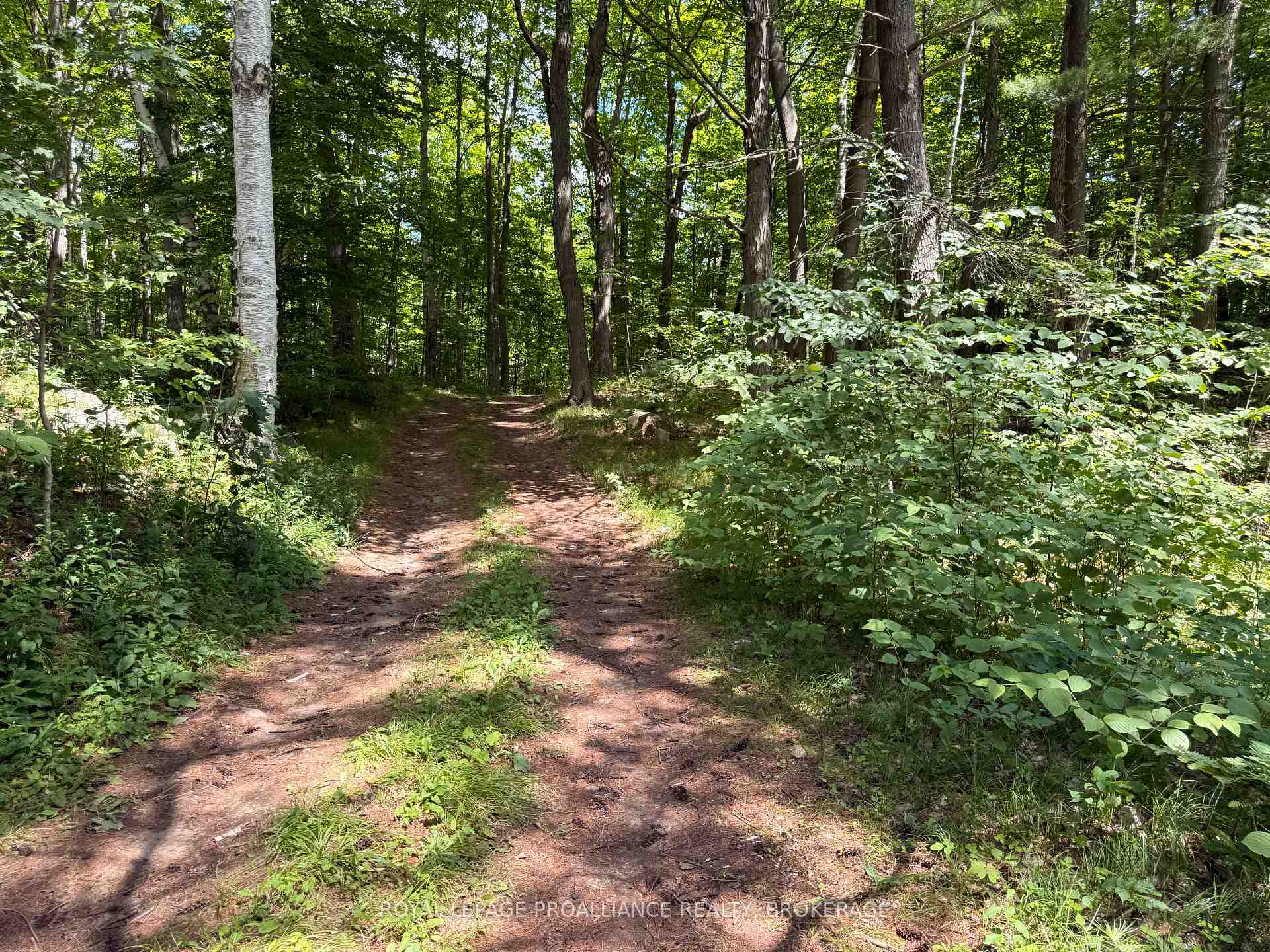 Photo 33 of 1135 Twin Island Lane, Frontenac, Frontenac South — HOMEH