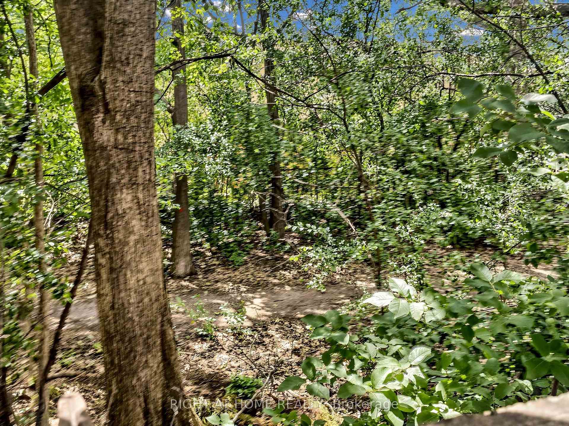 Photo 50 of Unit 2, 1580 Lancaster Drive, Oakville, Falgarwood — HOMEH