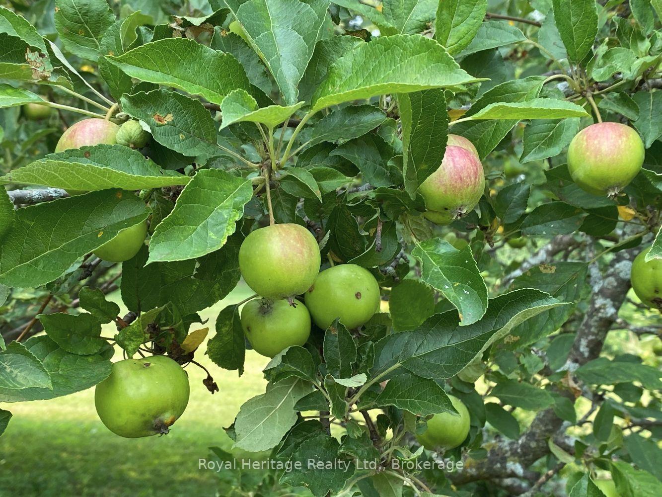 Photo 43 of 920 Stewart Line, Cavan Monaghan, Cavan-Monaghan — HOMEH