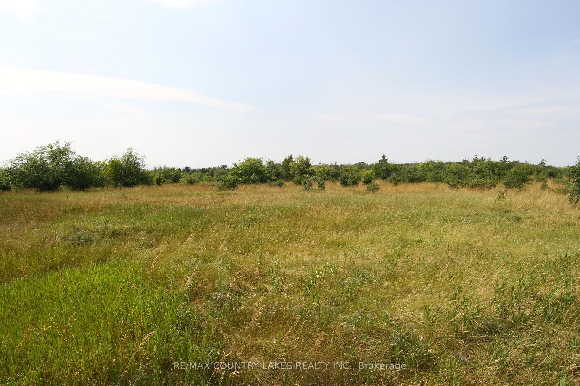 Photo 5 of Lt7 County Road 48, Brock, Rural Brock — HOMEH