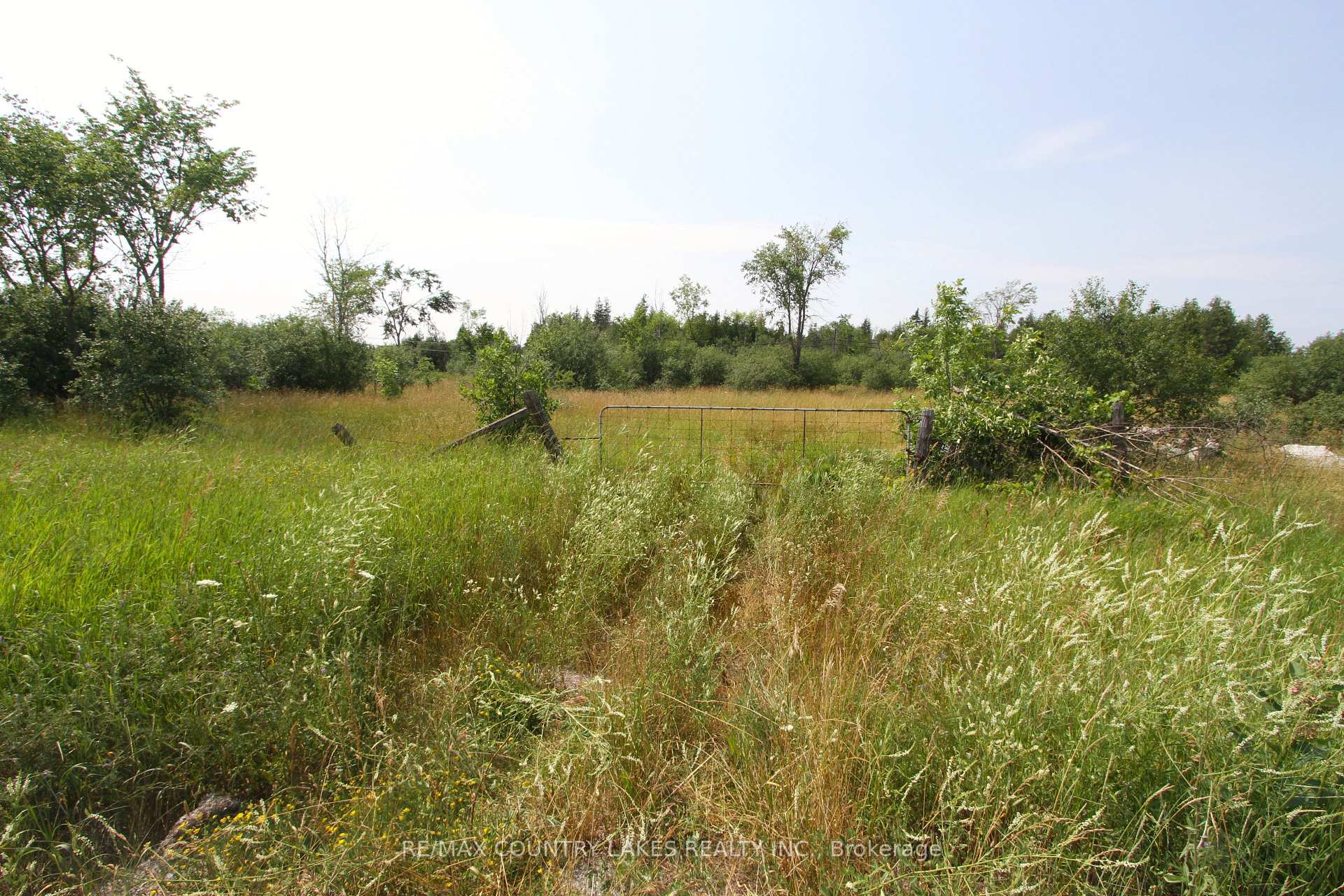 Photo 11 of Lt7 County Road 48, Brock, Rural Brock — HOMEH