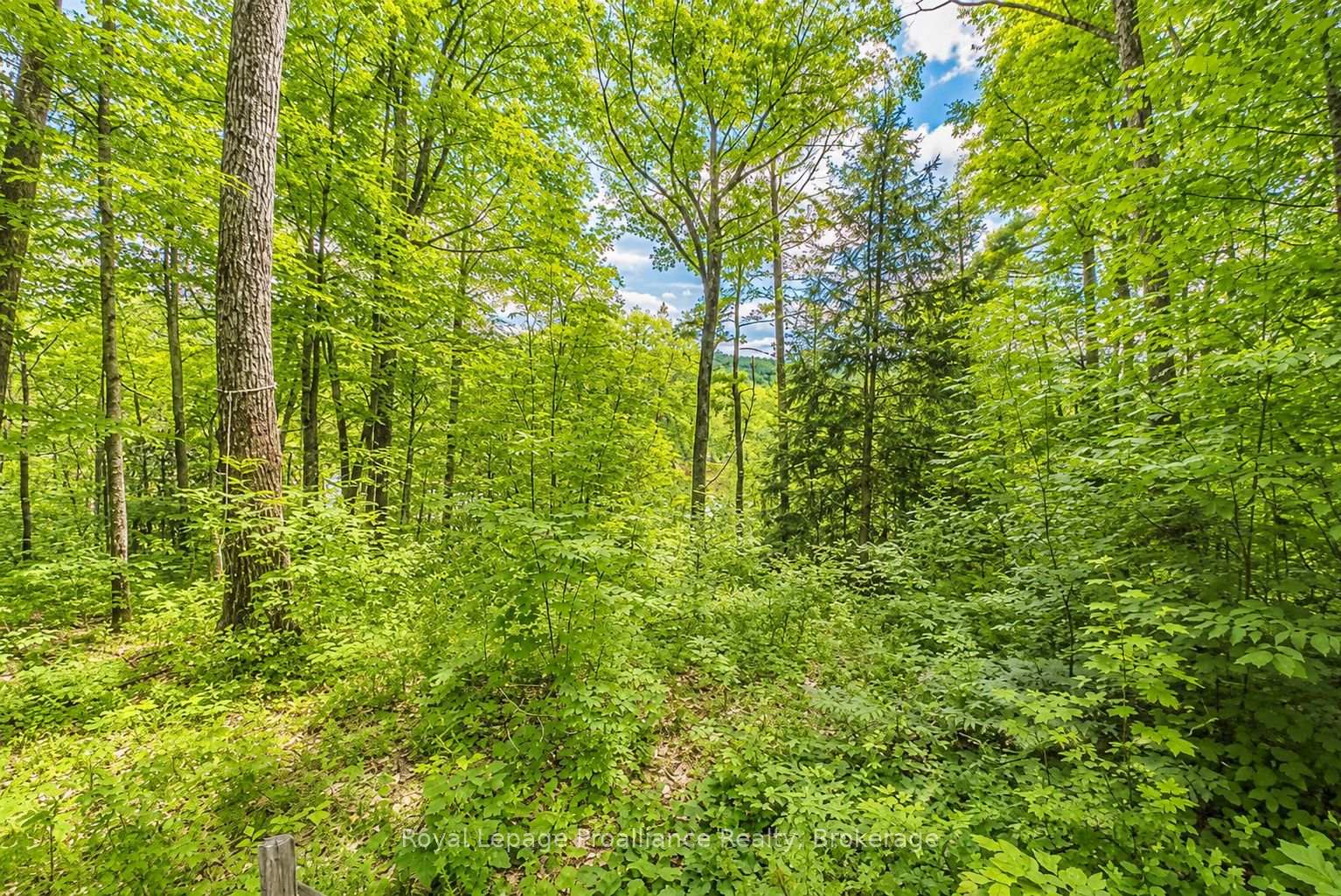 Photo 11 of 2328B Road 506, Frontenac, Frontenac North — HOMEH