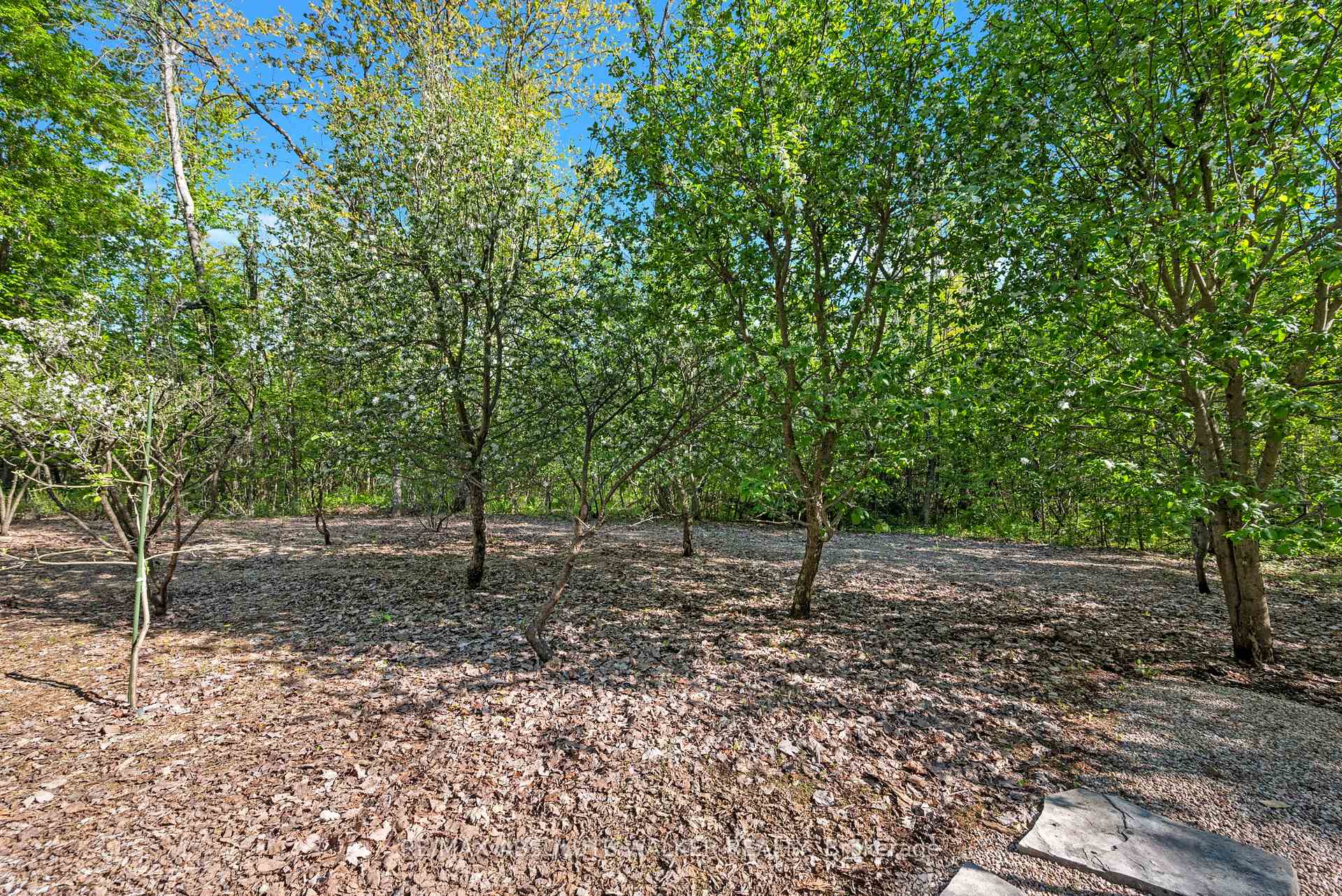 Photo 43 of 3540 Gordon Murdock Road, Ottawa, Osgoode — HOMEH
