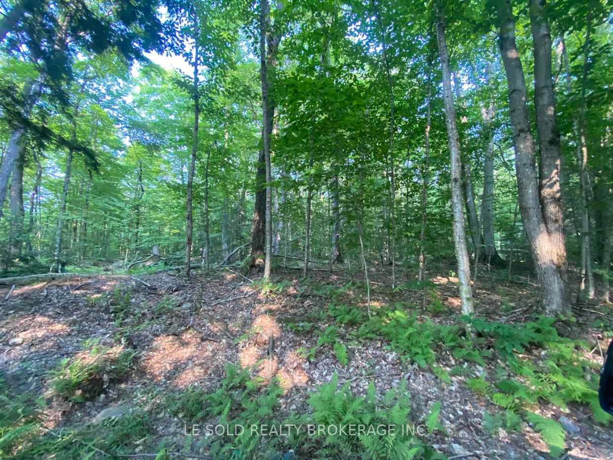 Photo of Unit Lot # 7, 1310 Camel Lake Road