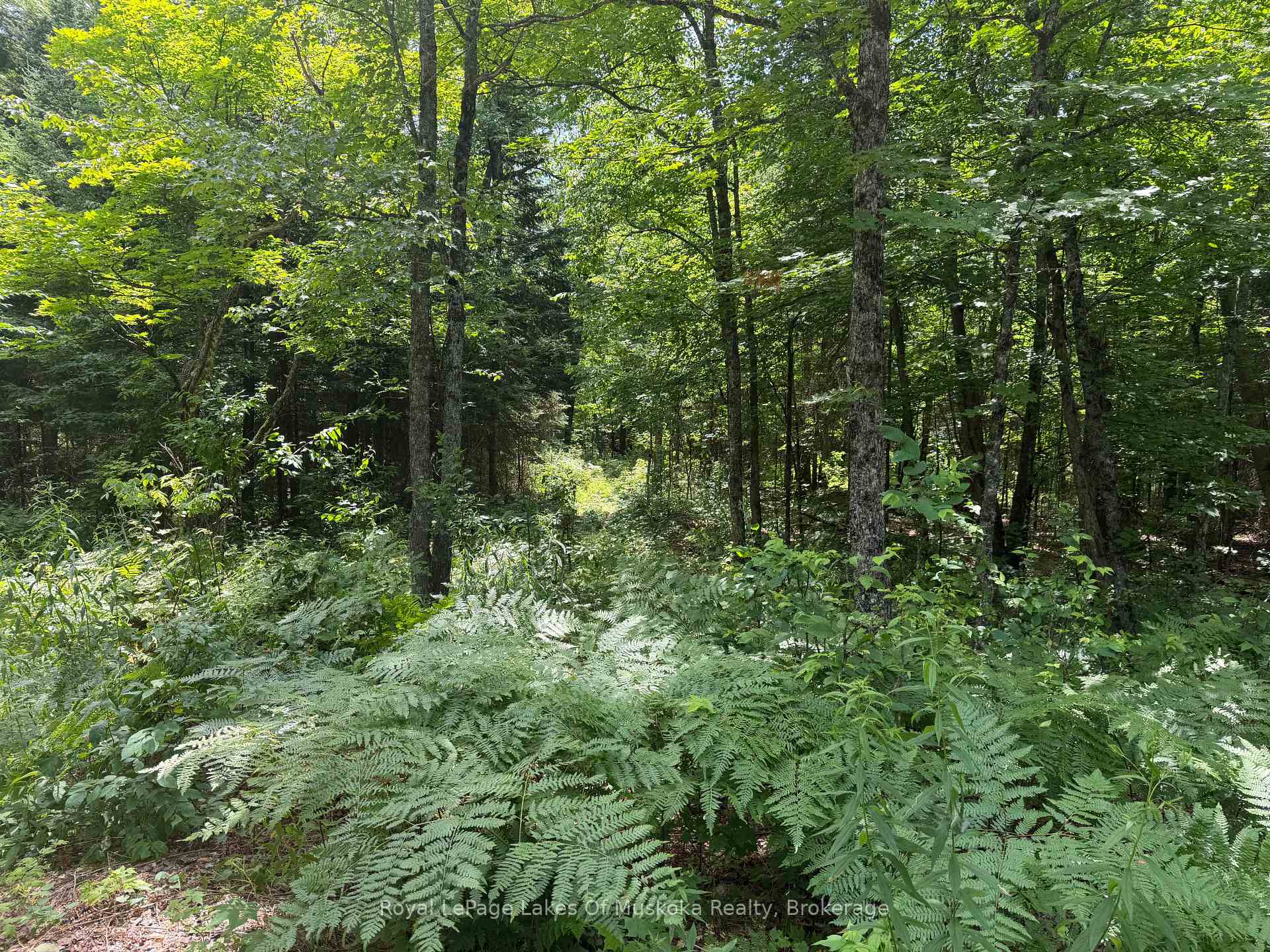 Photo 4 of Axe Lake Road, McMurrich/Monteith, Monteith — HOMEH