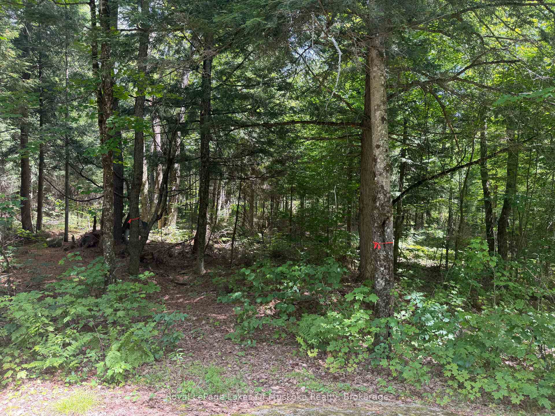 Photo 5 of Axe Lake Road, McMurrich/Monteith, Monteith — HOMEH