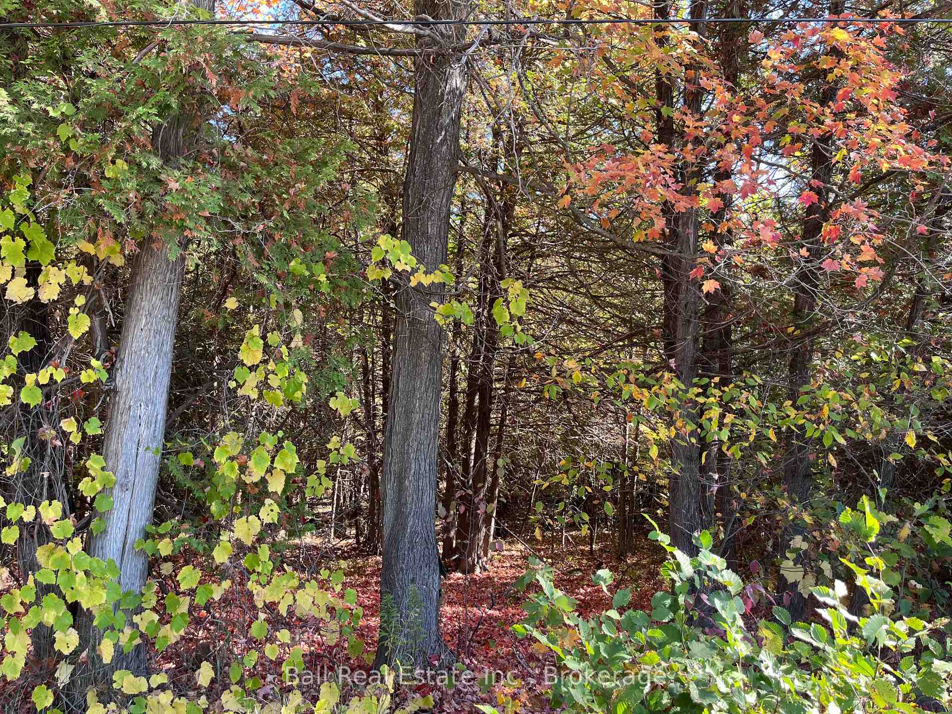 Photo of 0 Koa Road