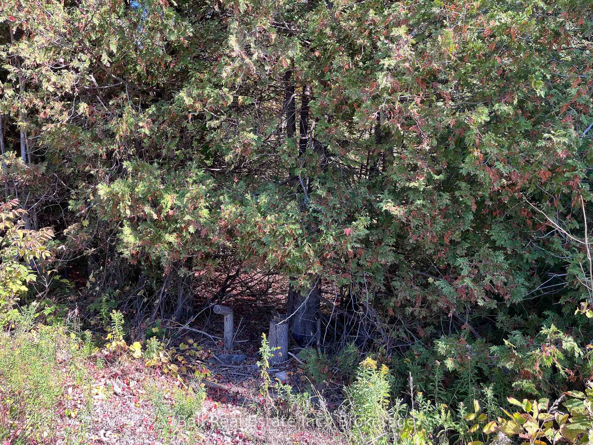 Photo 2 of Koa Road, Marmora and Lake, Marmora Ward — HOMEH