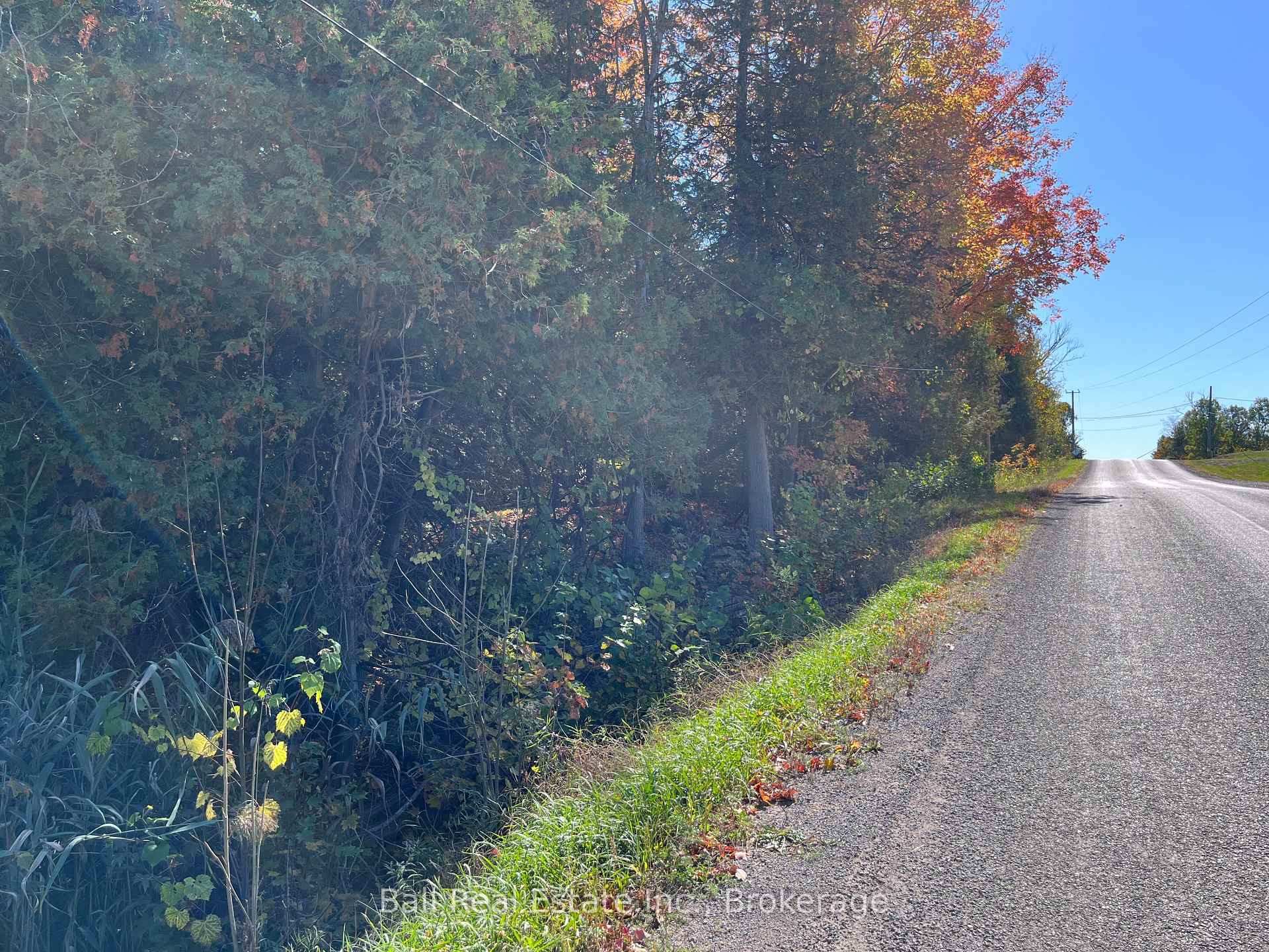 Photo 3 of Koa Road, Marmora and Lake, Marmora Ward — HOMEH
