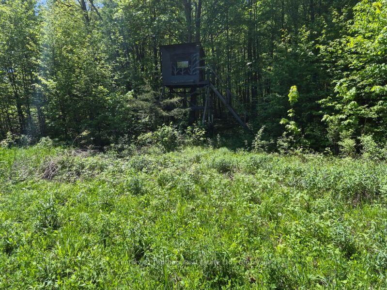 Photo 50 of 2147 Marlbank Road, Tweed, Hungerford (Twp) — HOMEH