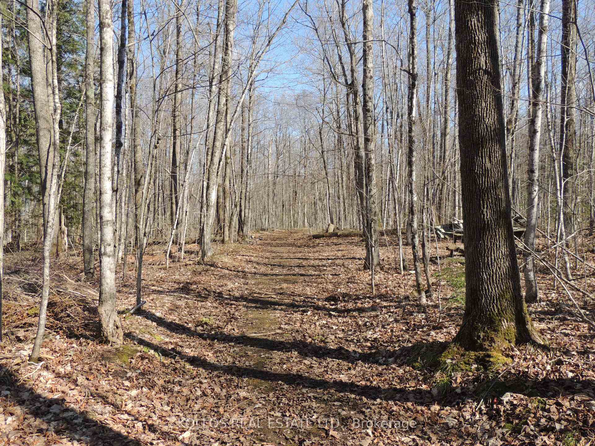 Photo 9 of 3028 Roger Stevens Drive, Ottawa, Rideau Twp S of Reg Rd 6 W of Mccordick Rd. — HOMEH