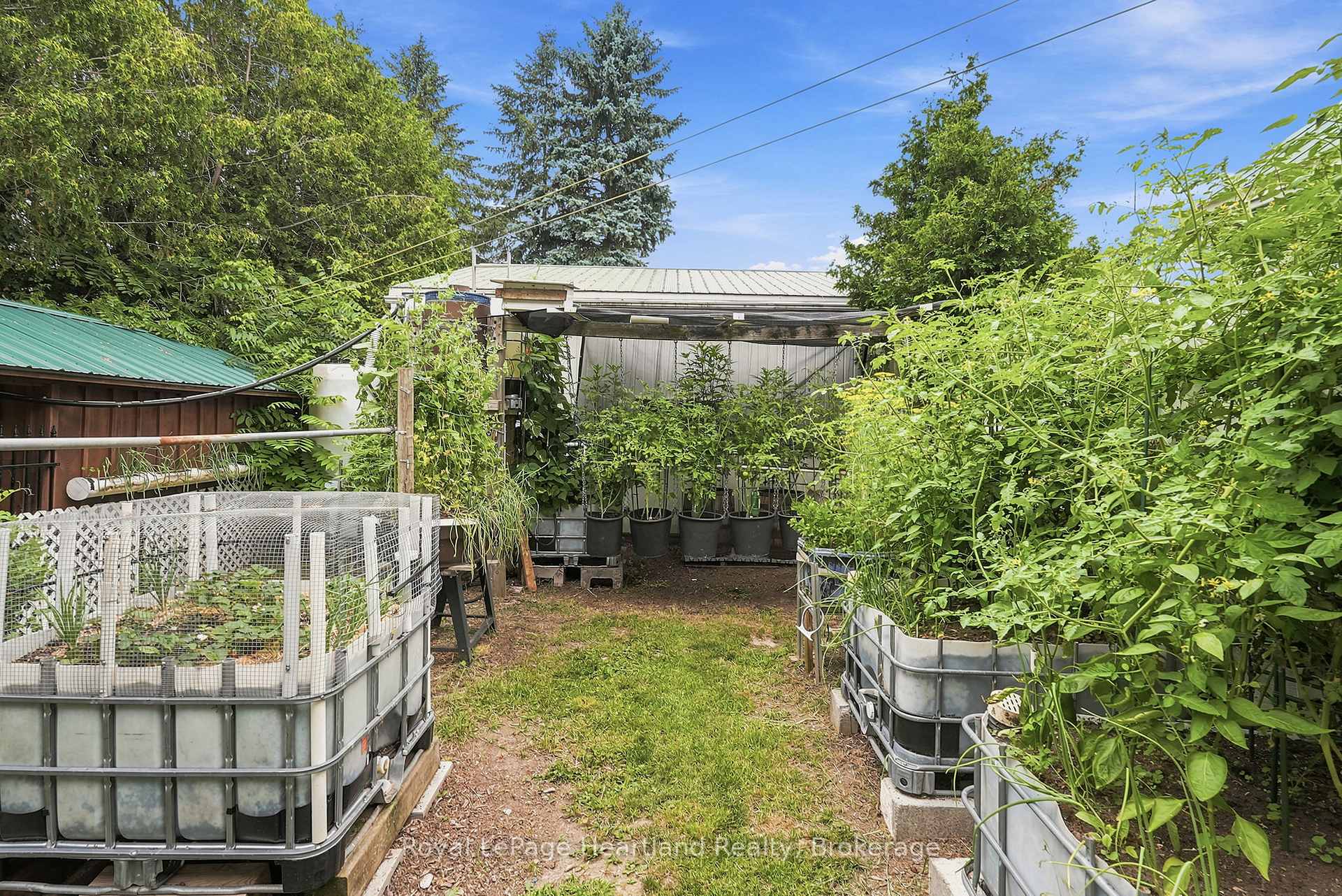Photo 38 of 2037 Harriston Road, Howick — HOMEH