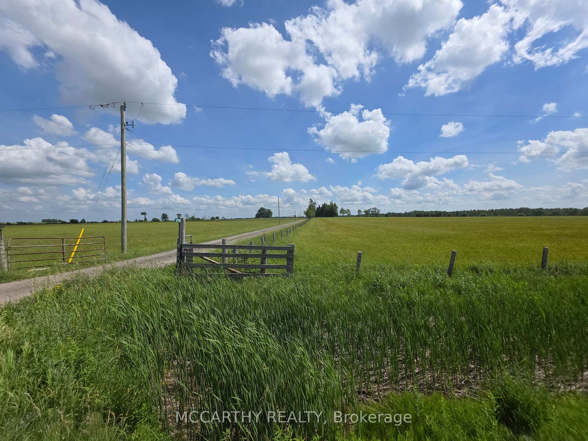Photo 41 of 501098 Hwy # 89, Southgate — HOMEH