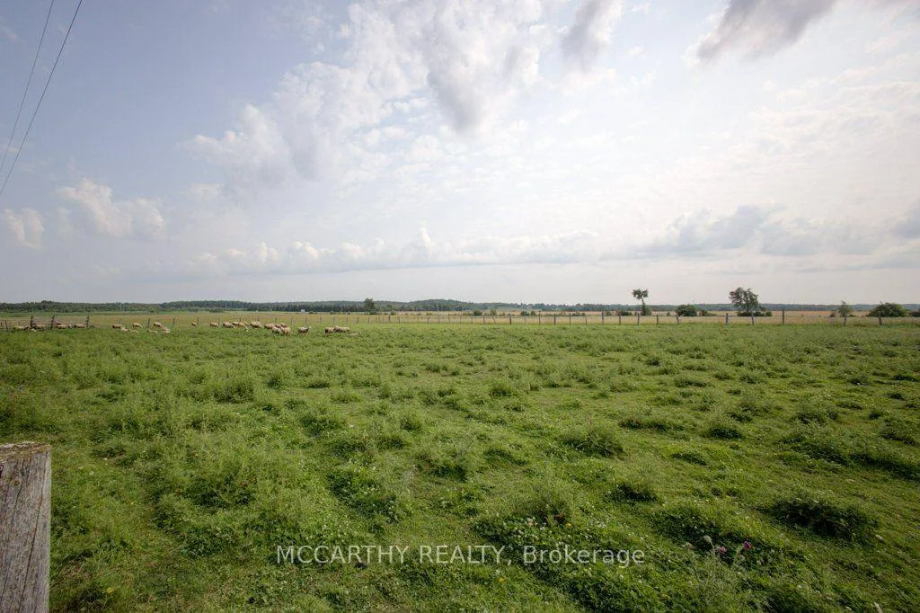 Photo 46 of 501098 Hwy # 89, Southgate — HOMEH