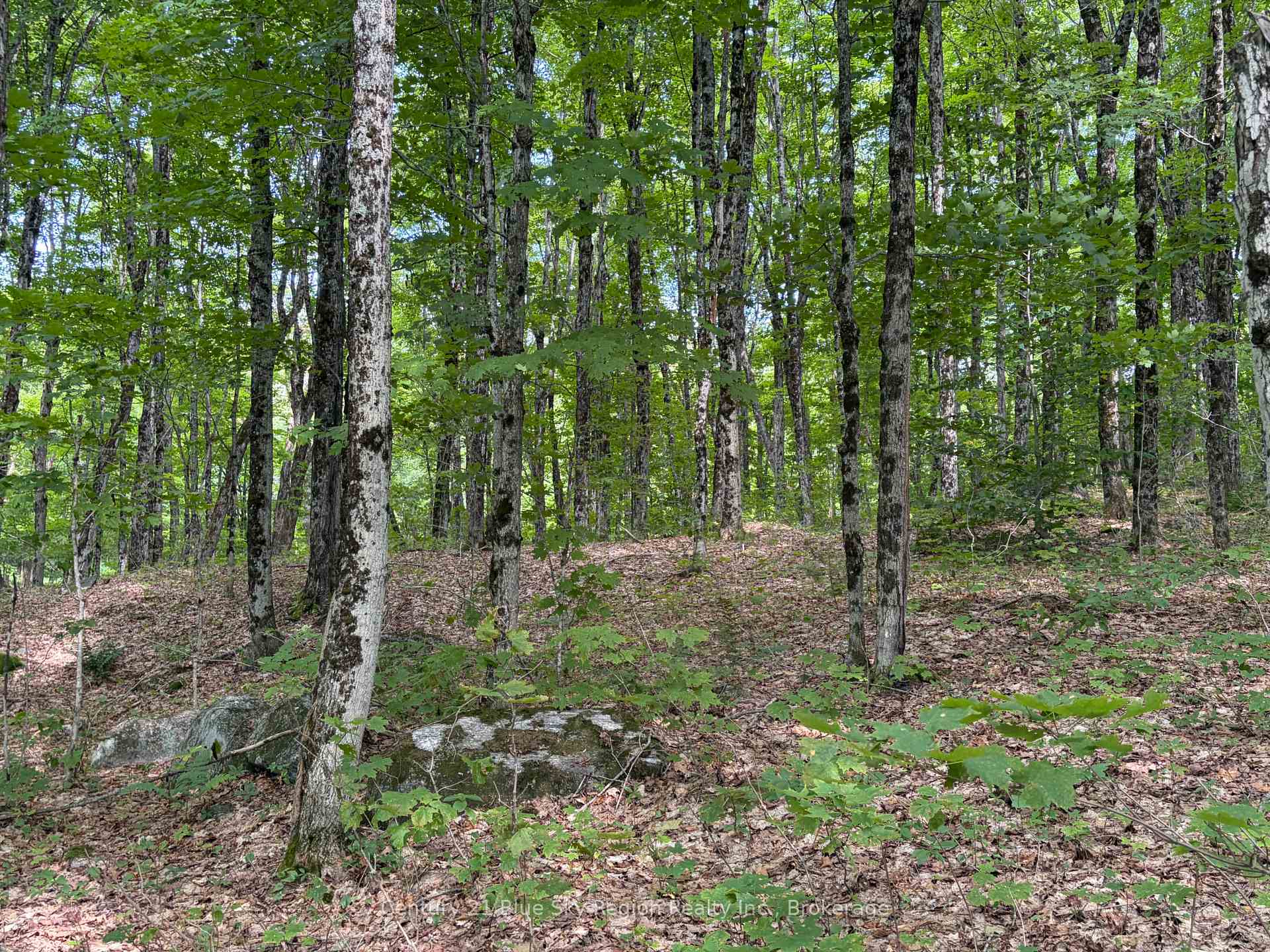 Photo of 0 Chikopi Road