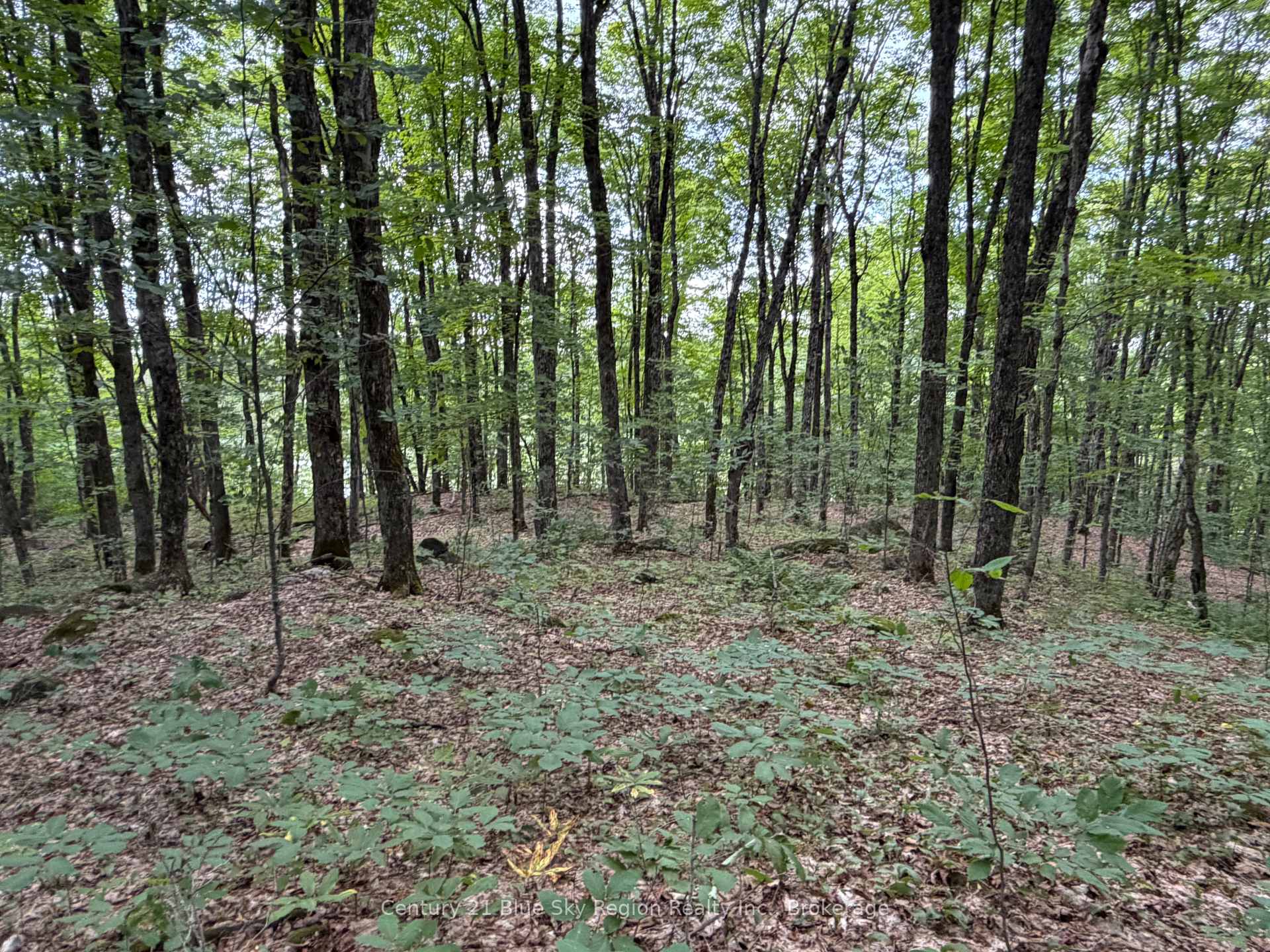 Photo 5 of Chikopi Road, Magnetawan, Ahmic Harbour — HOMEH