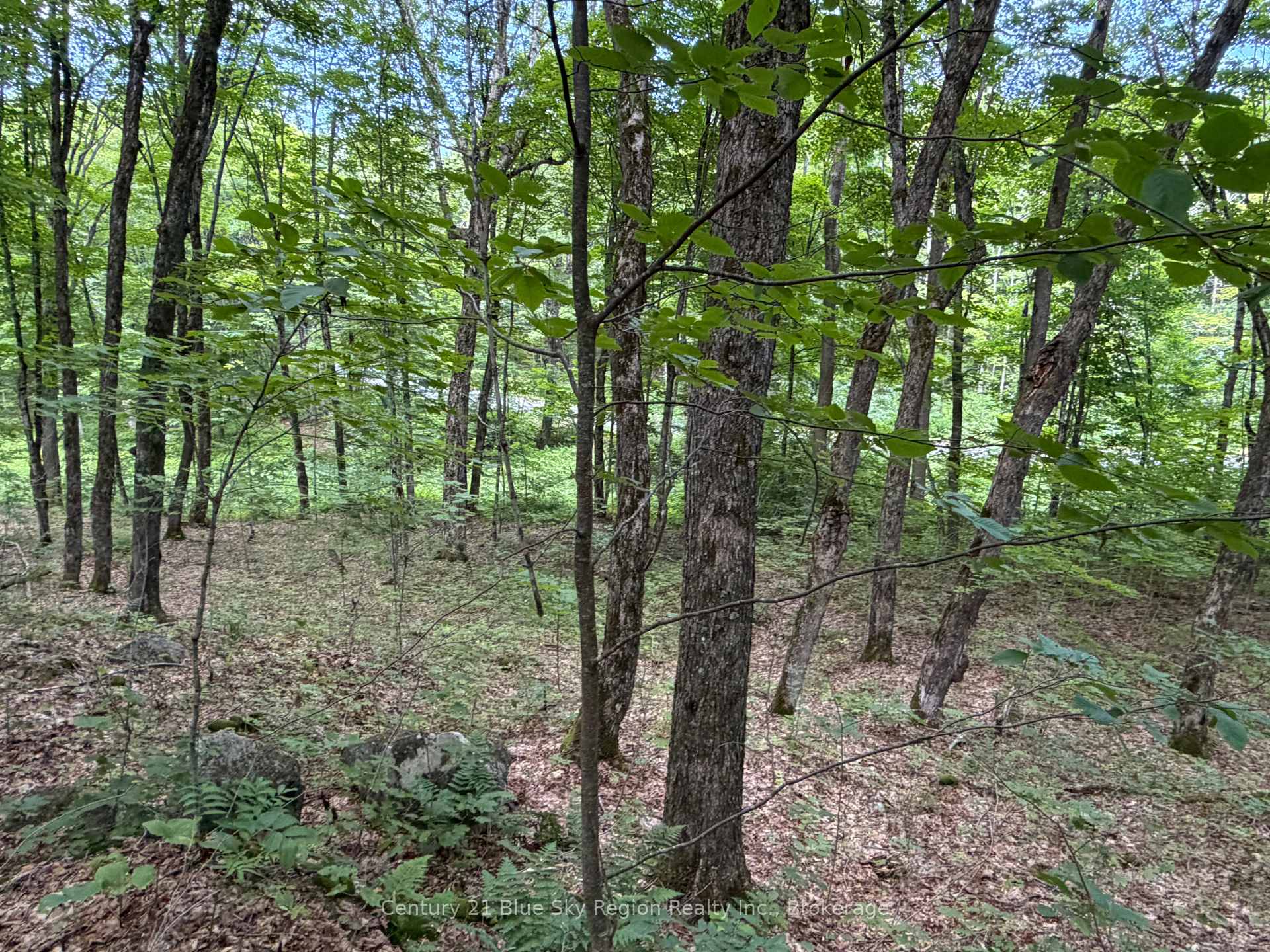Photo 6 of Chikopi Road, Magnetawan, Ahmic Harbour — HOMEH