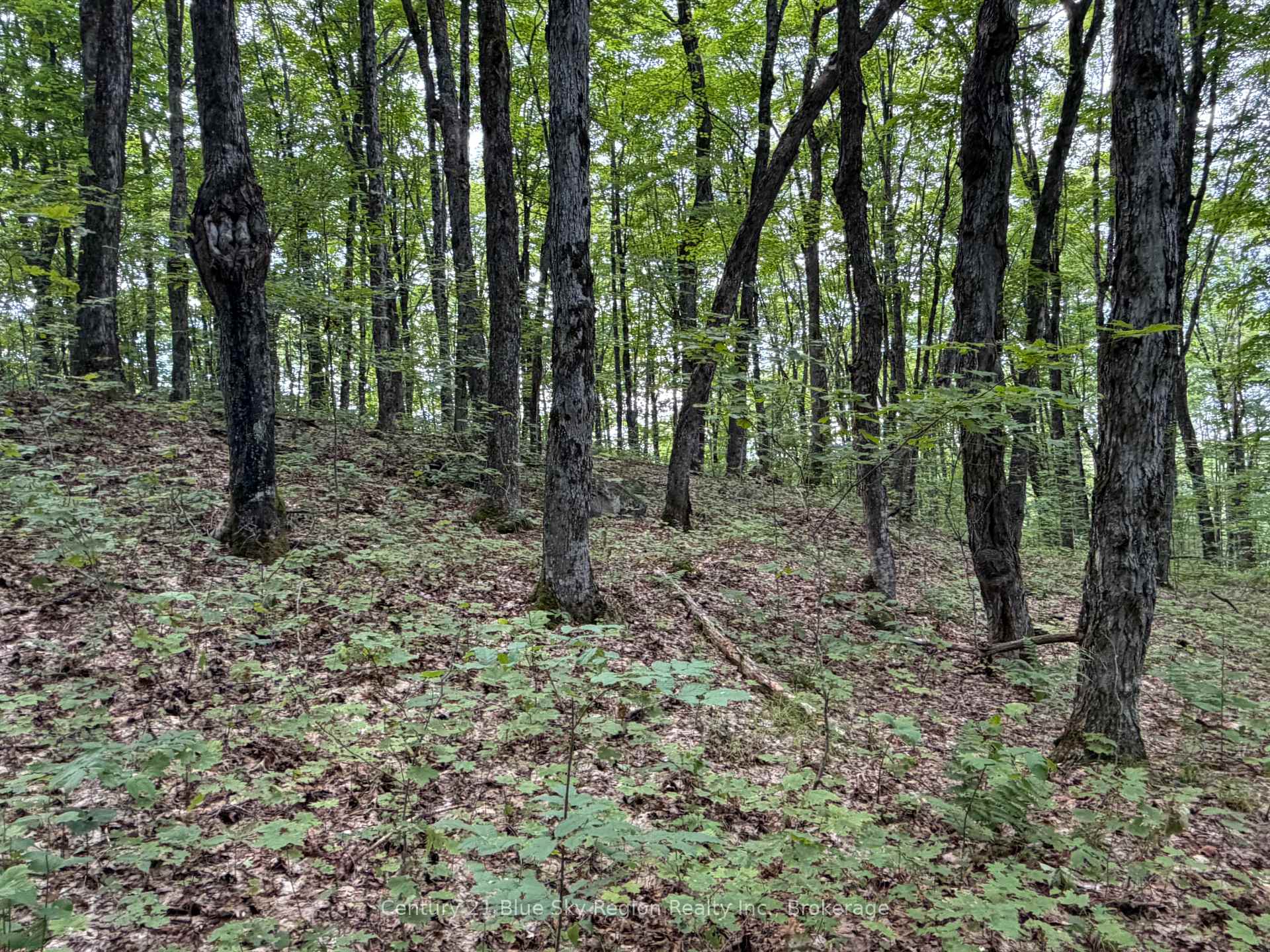 Photo 7 of Chikopi Road, Magnetawan, Ahmic Harbour — HOMEH