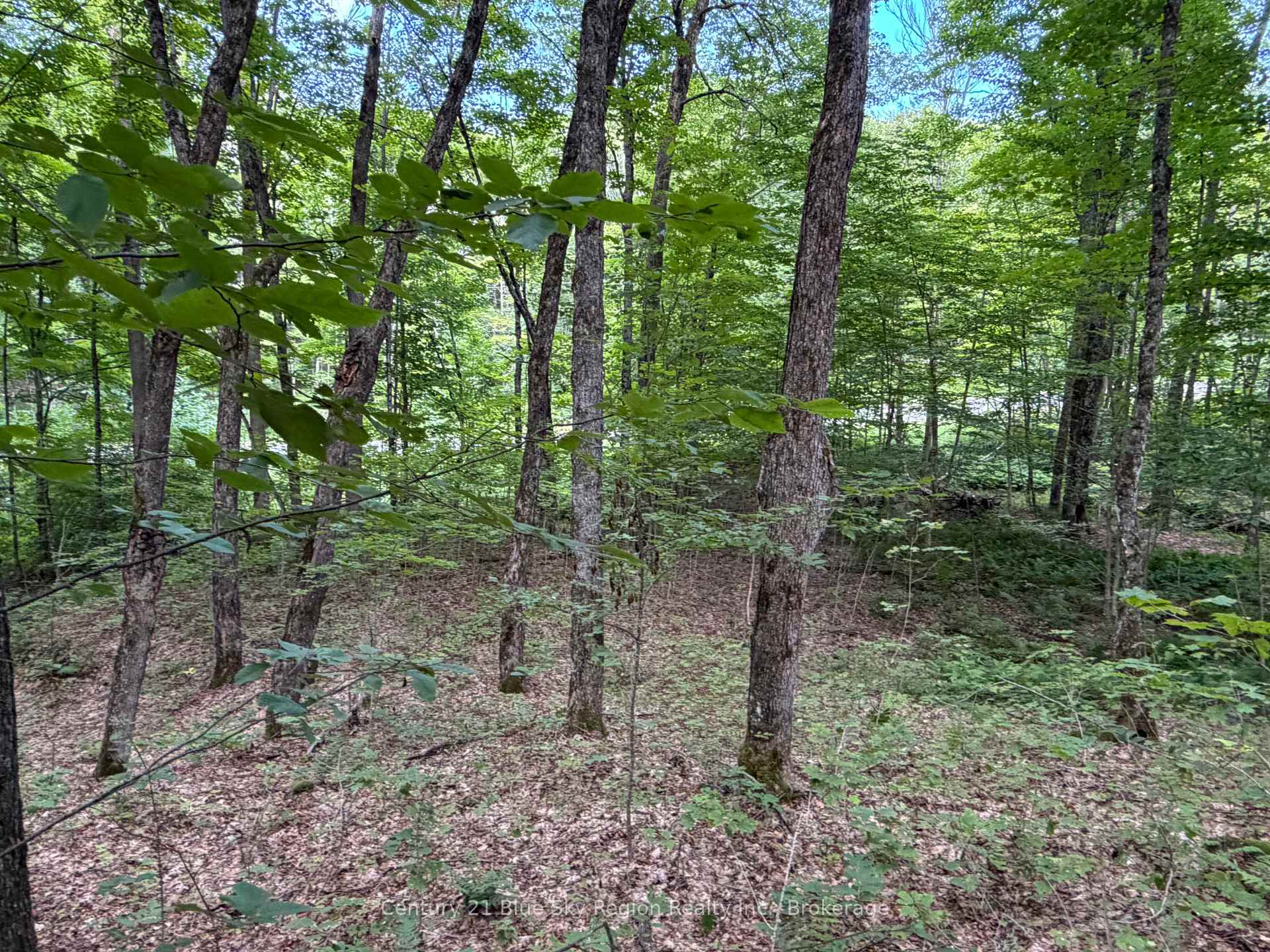 Photo 8 of Chikopi Road, Magnetawan, Ahmic Harbour — HOMEH