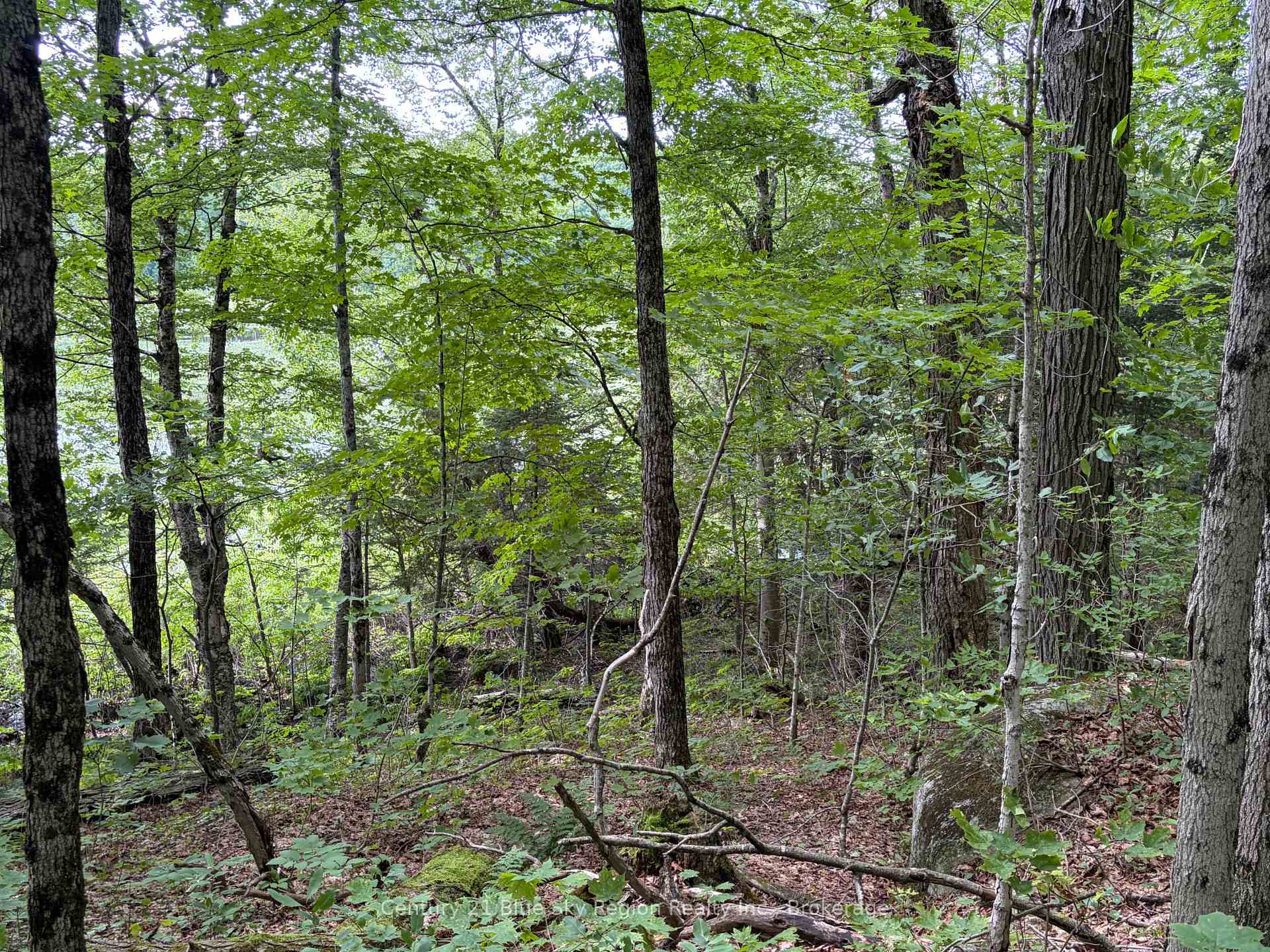 Photo 9 of Chikopi Road, Magnetawan, Ahmic Harbour — HOMEH