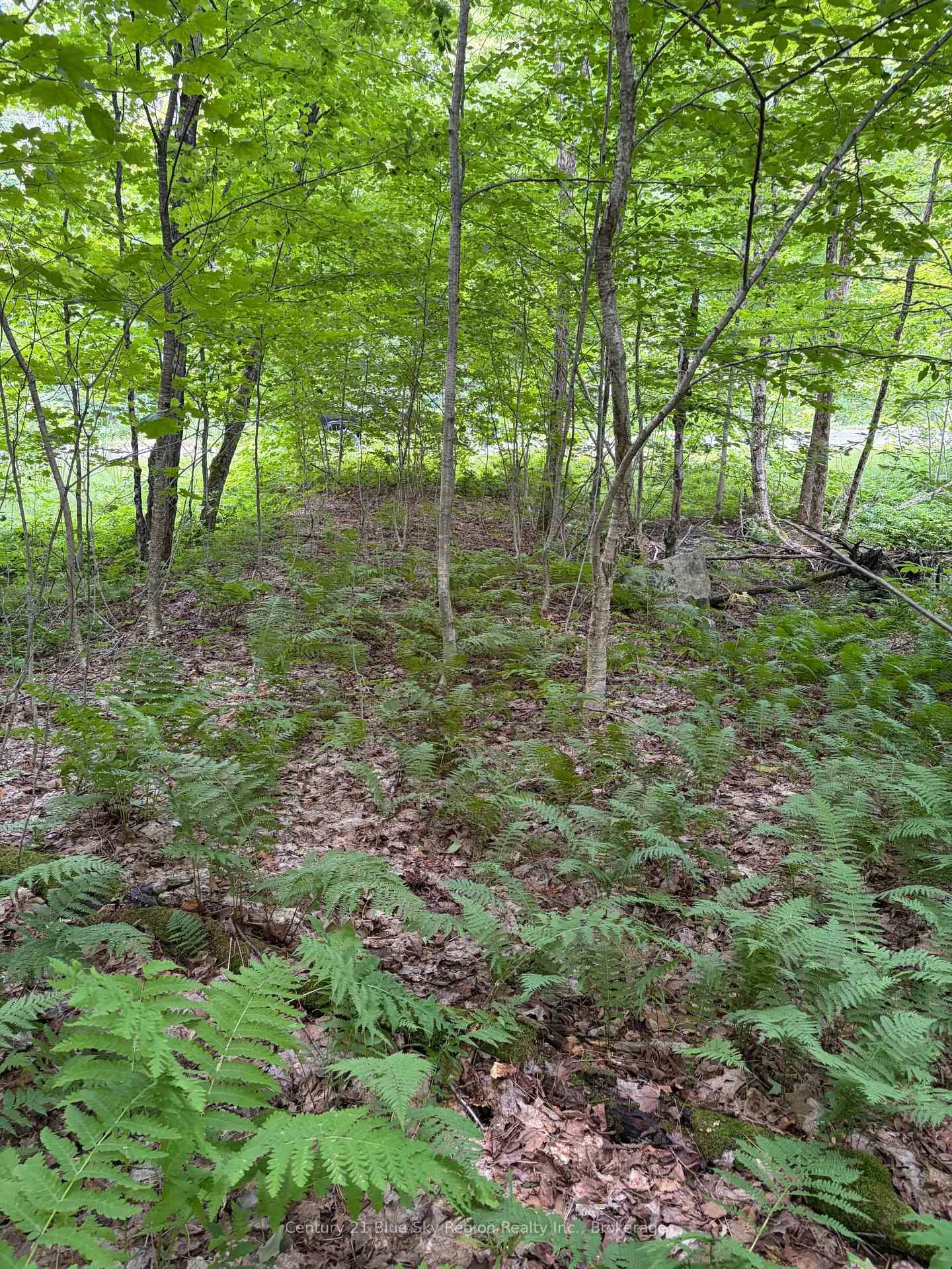 Photo 12 of Chikopi Road, Magnetawan, Ahmic Harbour — HOMEH
