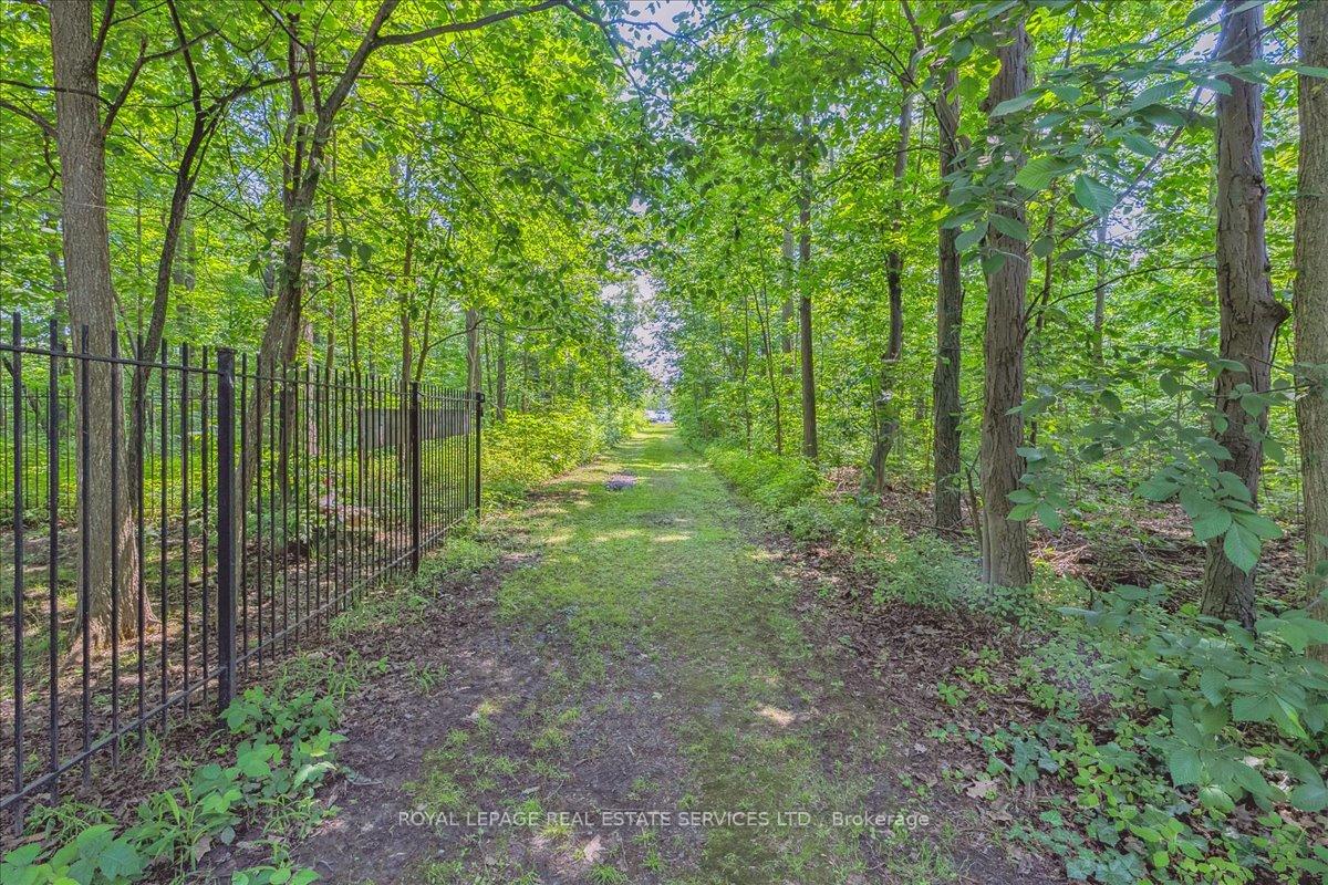 Photo 41 of 62 Windemere Road, Hamilton, Winona Park — HOMEH