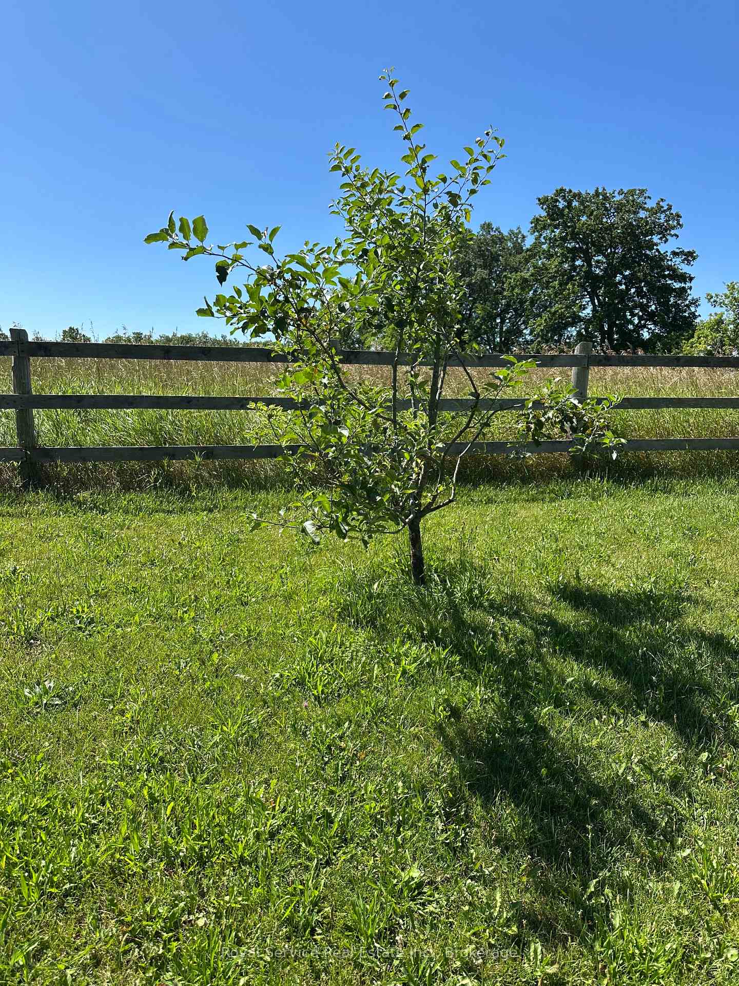 Photo 9 of 164 Bateman Road, Stirling-Rawdon, Rawdon Ward — HOMEH
